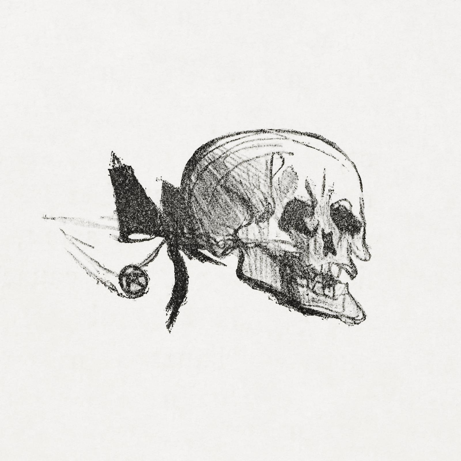 Untitled 2974130