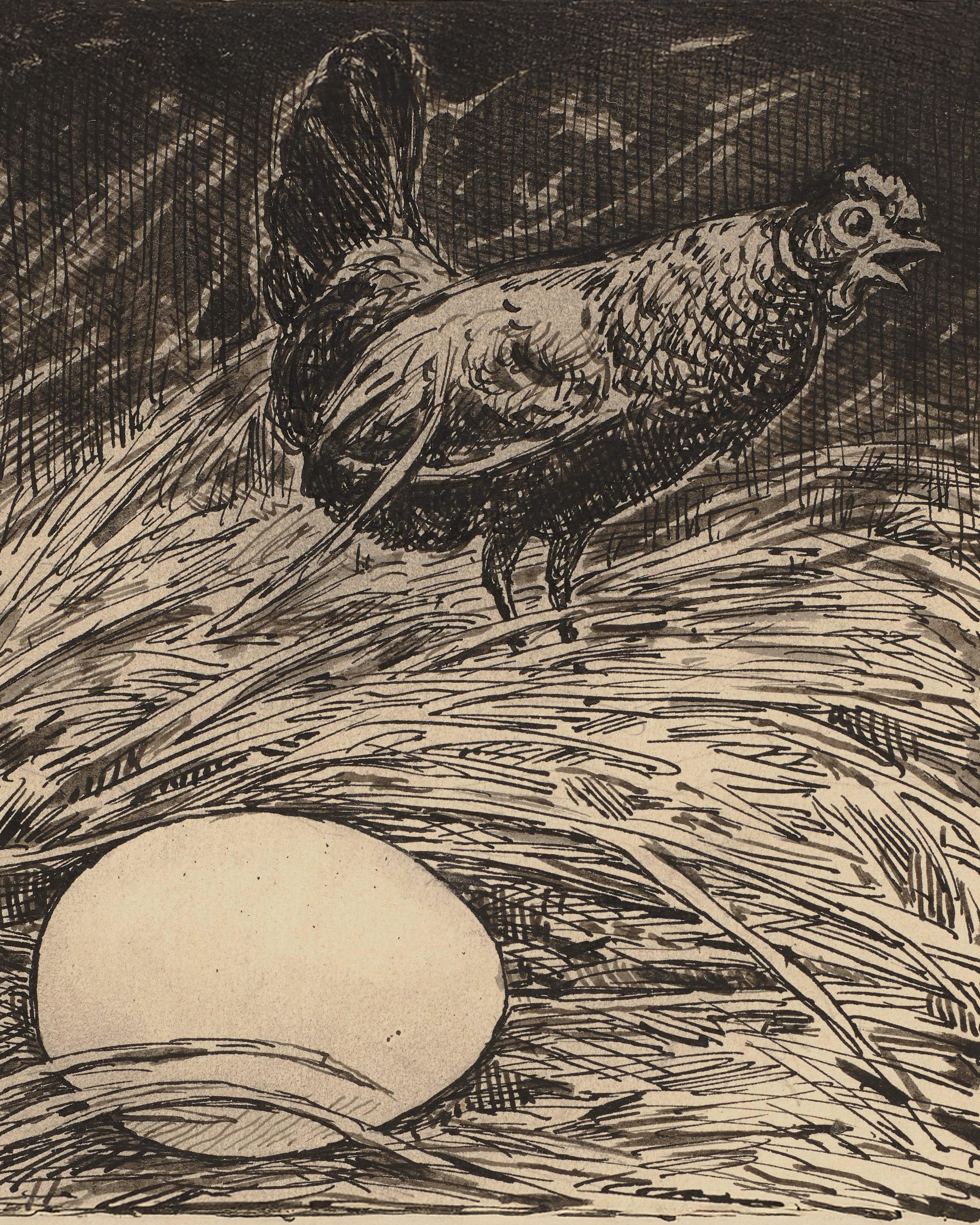Drawing for the Primer: Egg