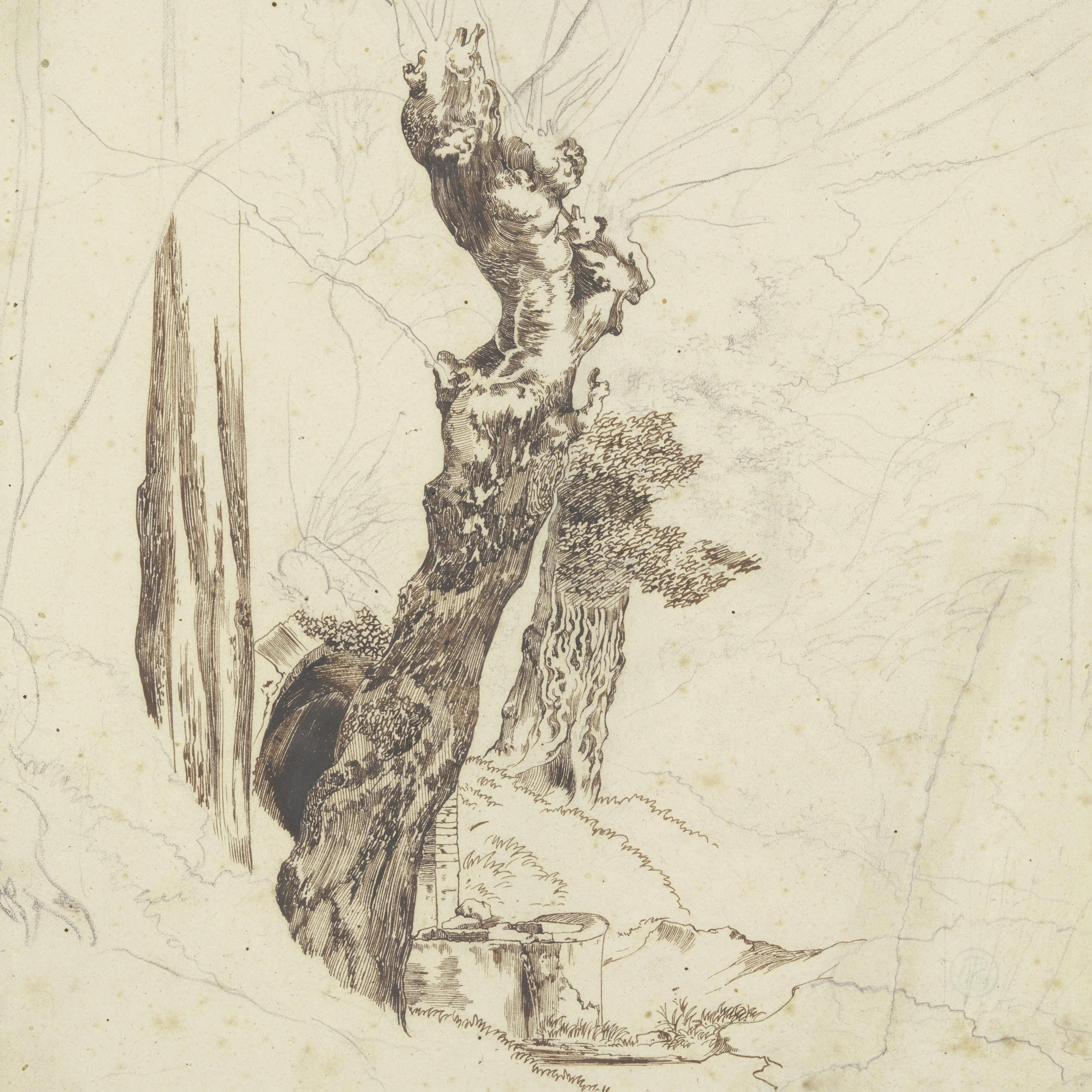 Weidenbaume Bei Der Grotte Der Nymphe Egeria