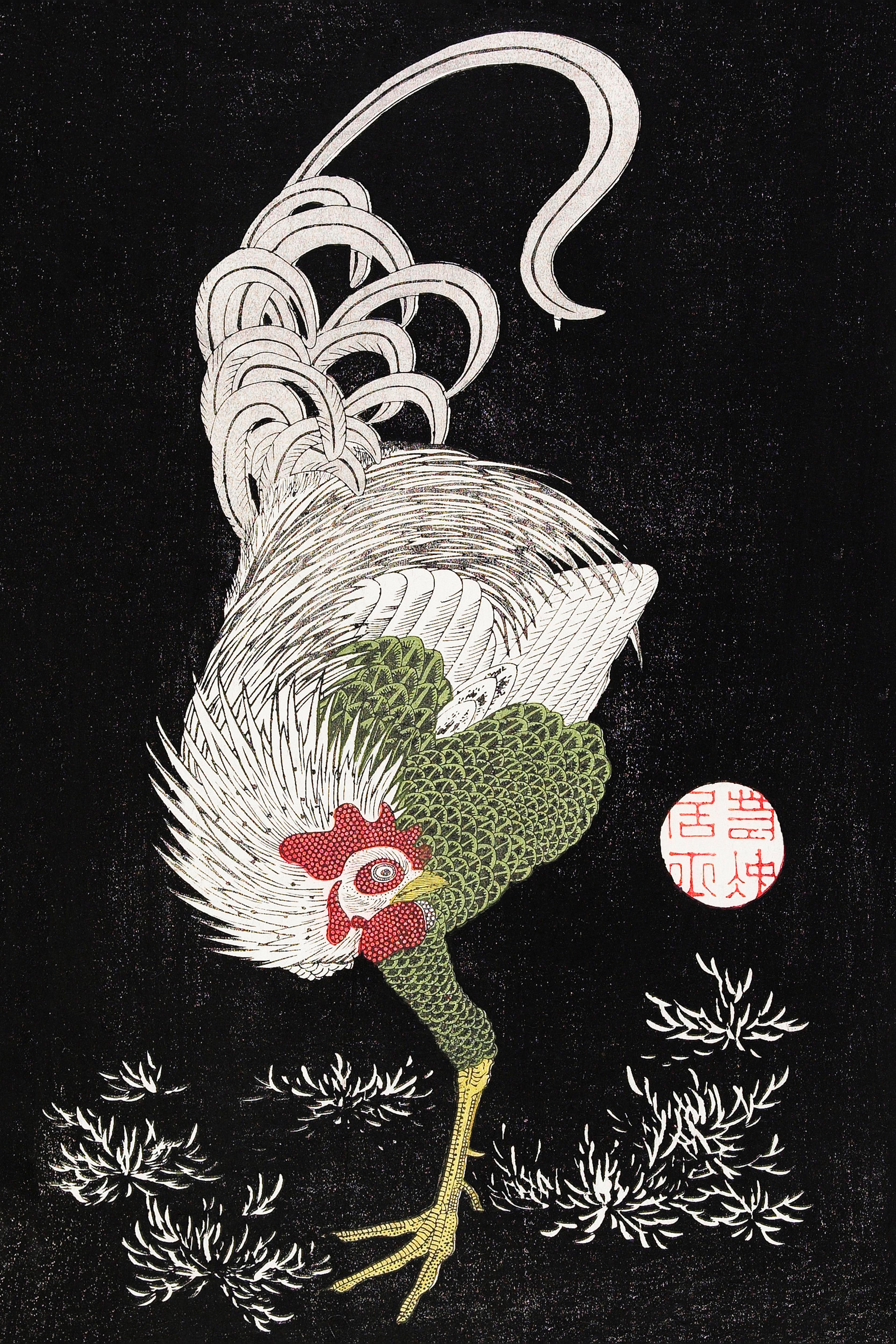 Rooster