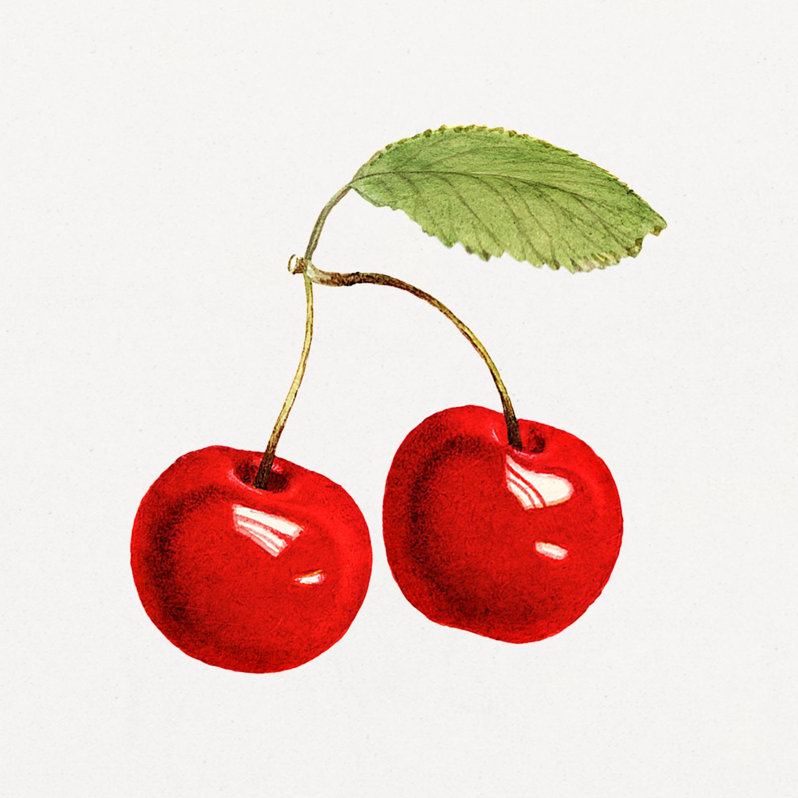 Cherries