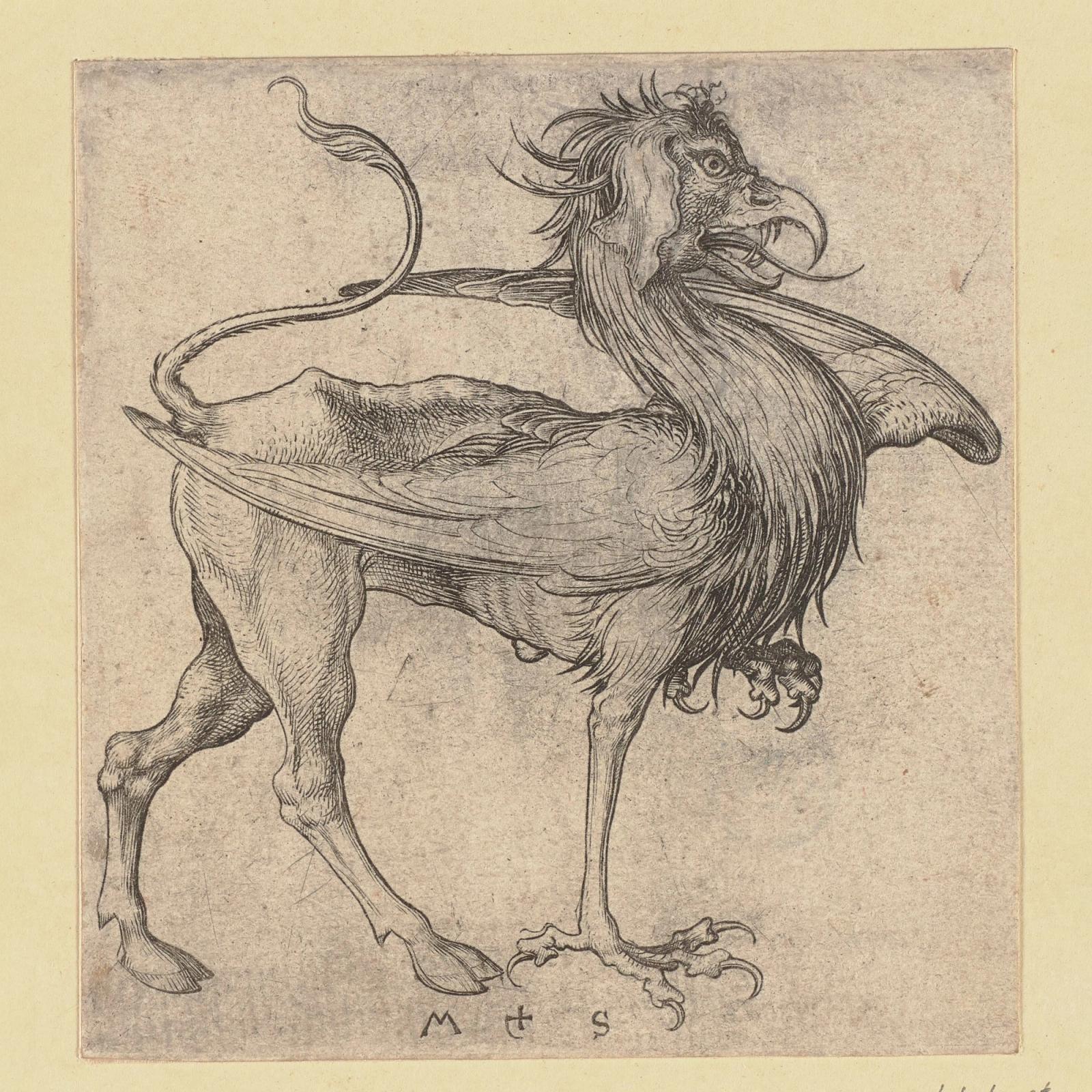 The Griffin, ca. 1475 by martin schongauer