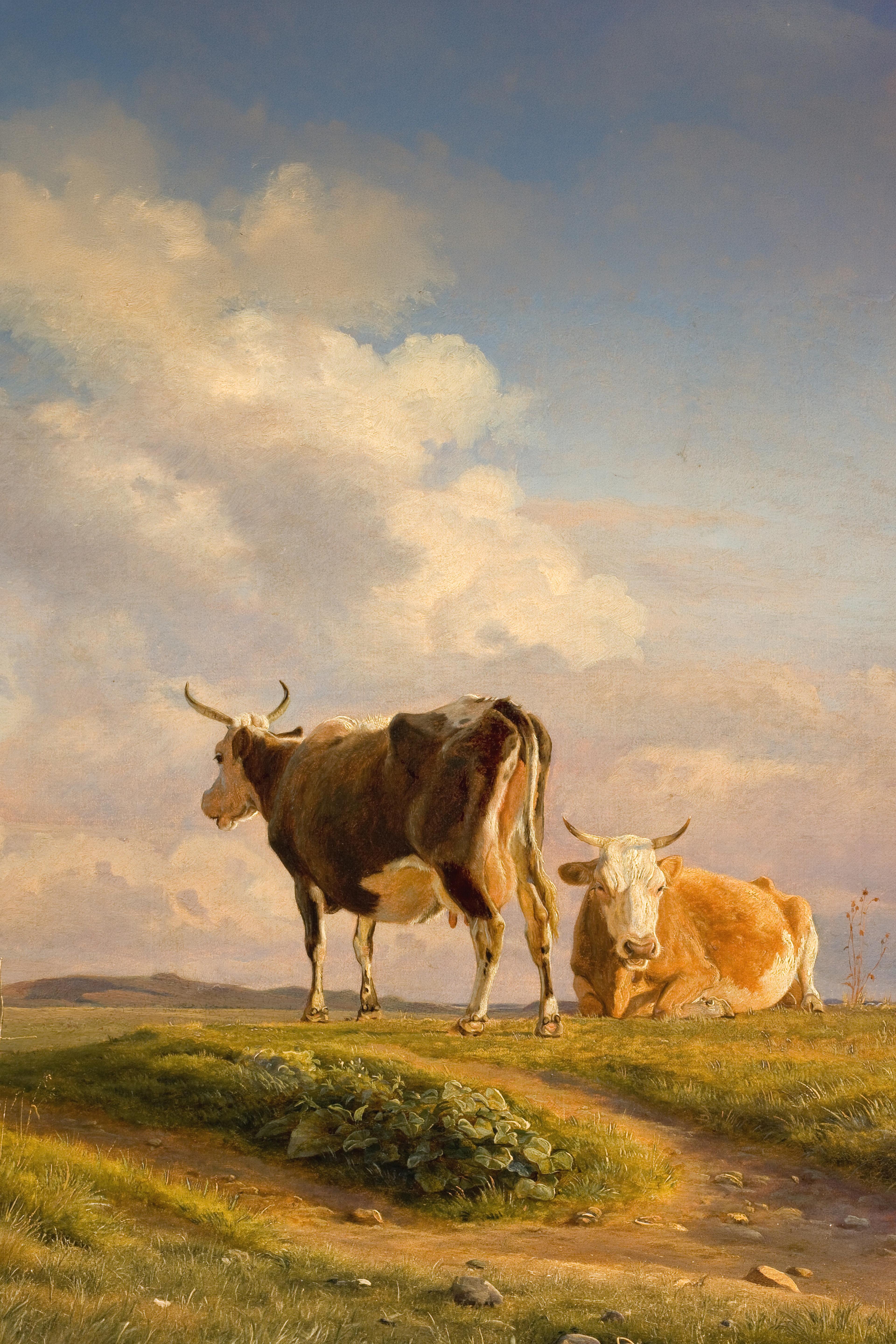 Two Cows in an Open Field