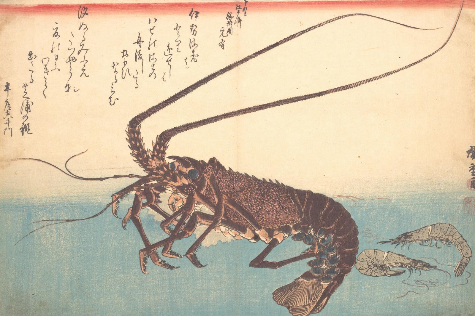 Lobster