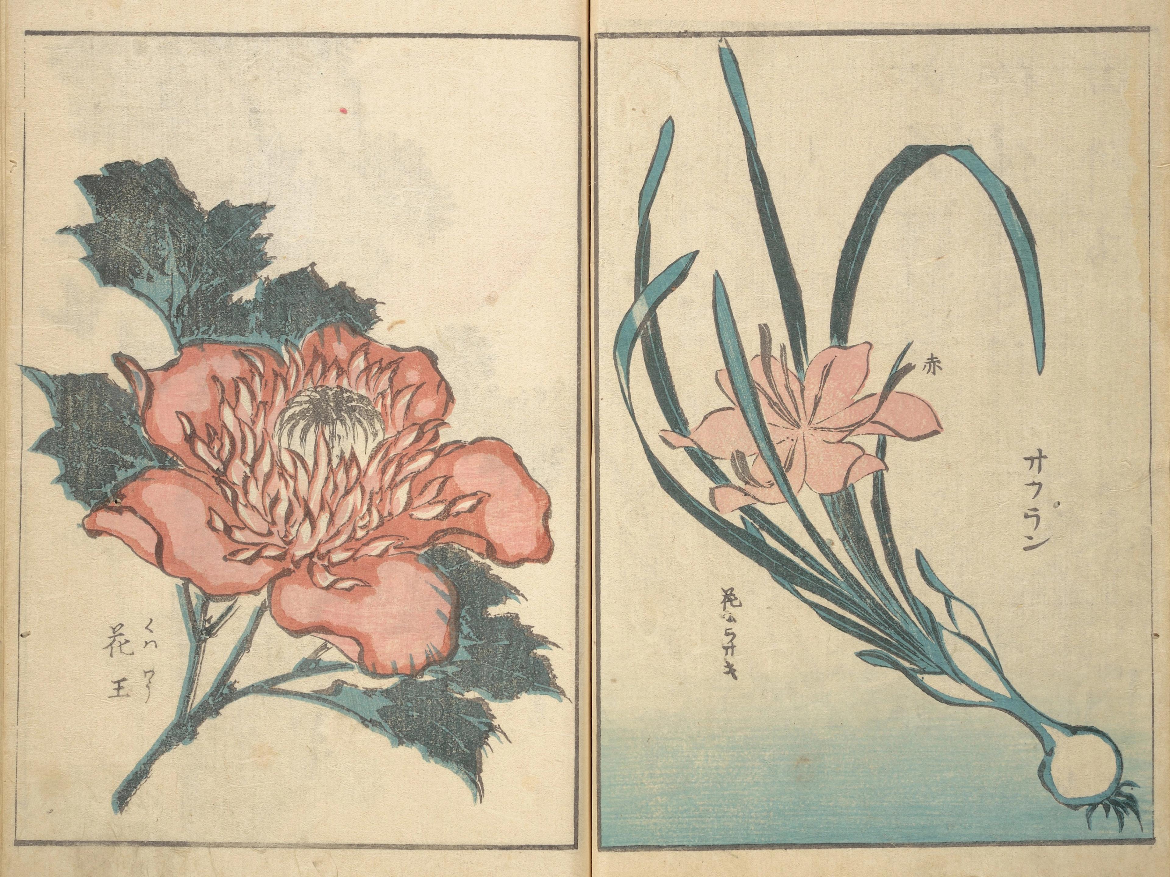 Picture Book With Mixed Verses on Joruri