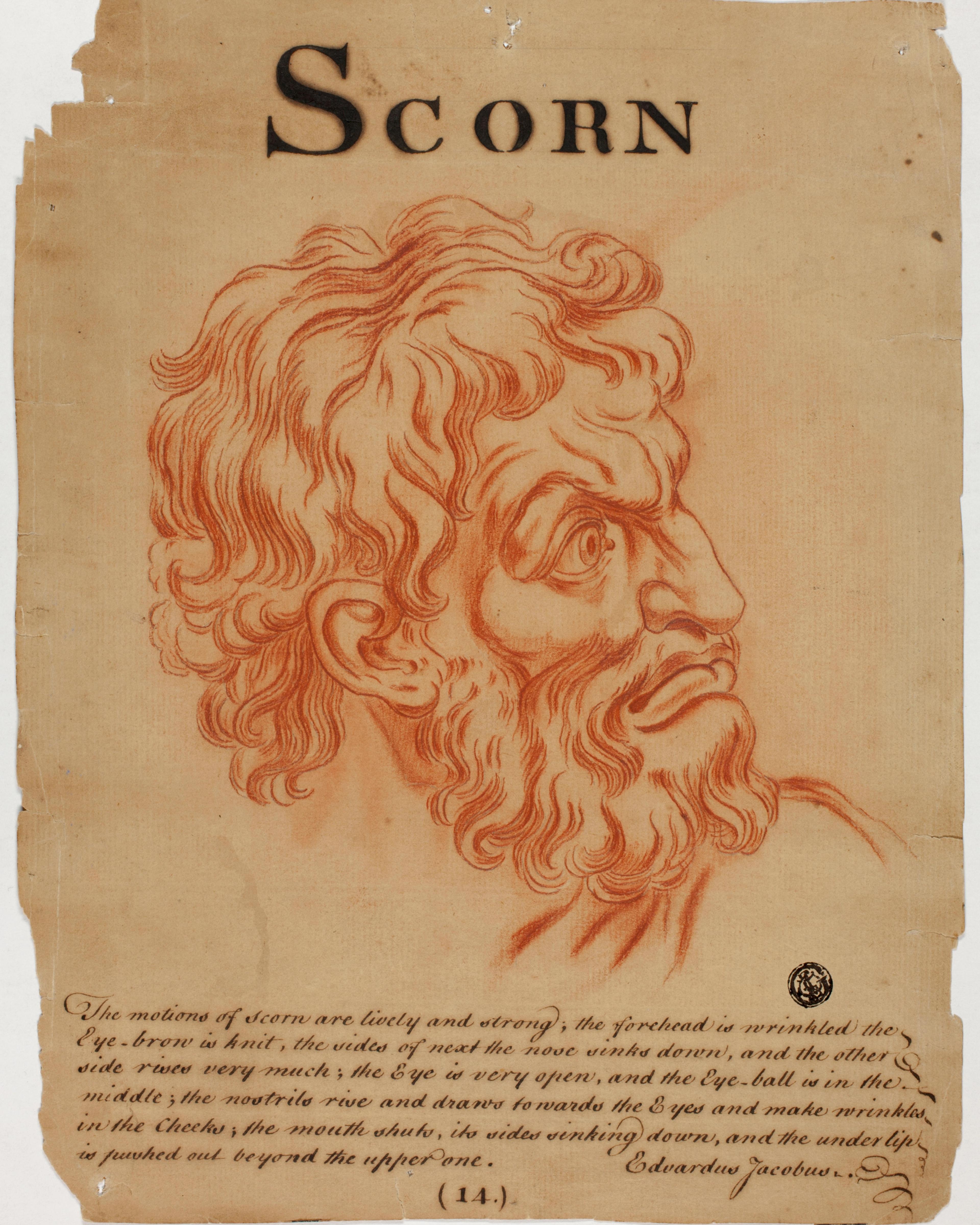 Scorn