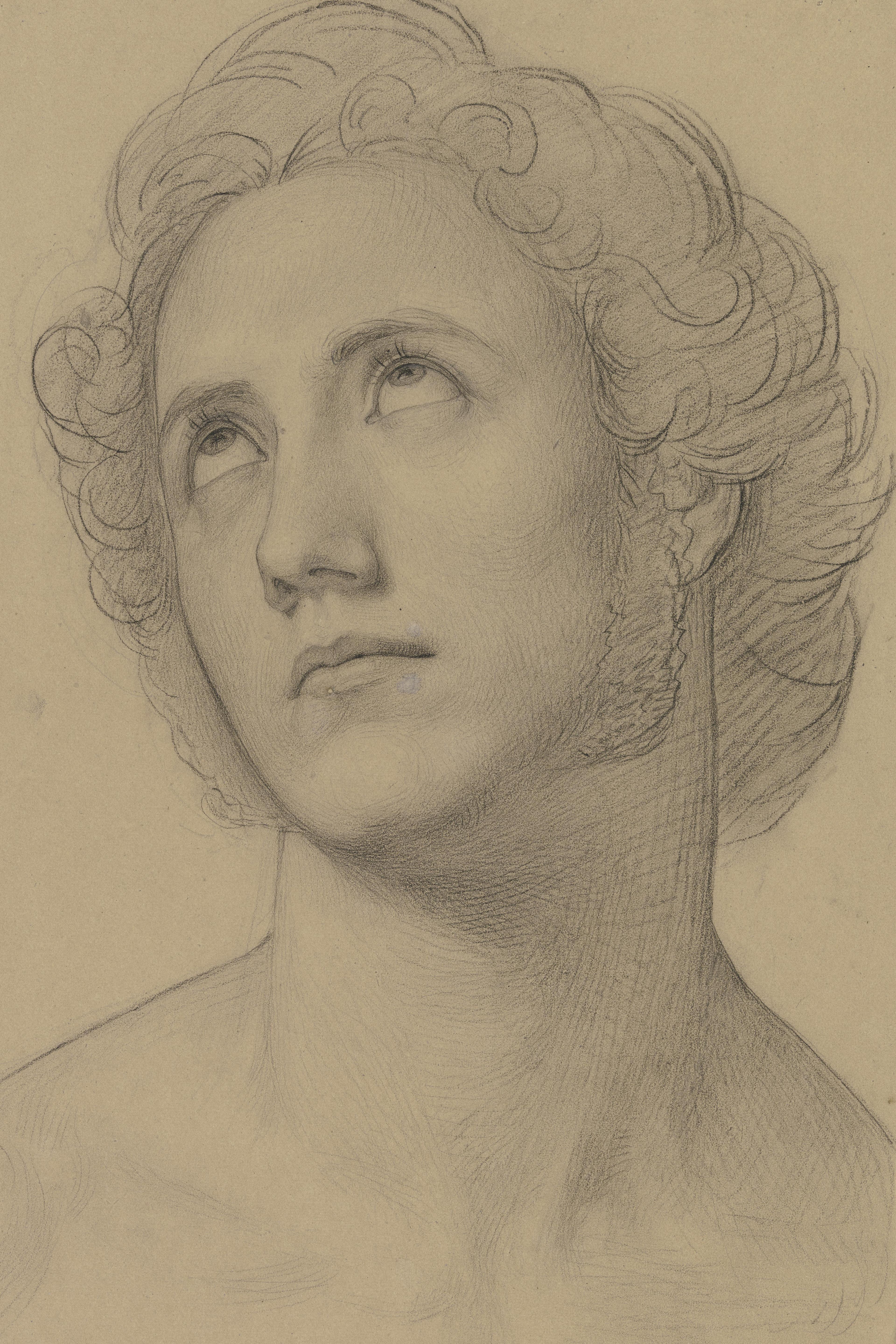 Young Man, Looking Up