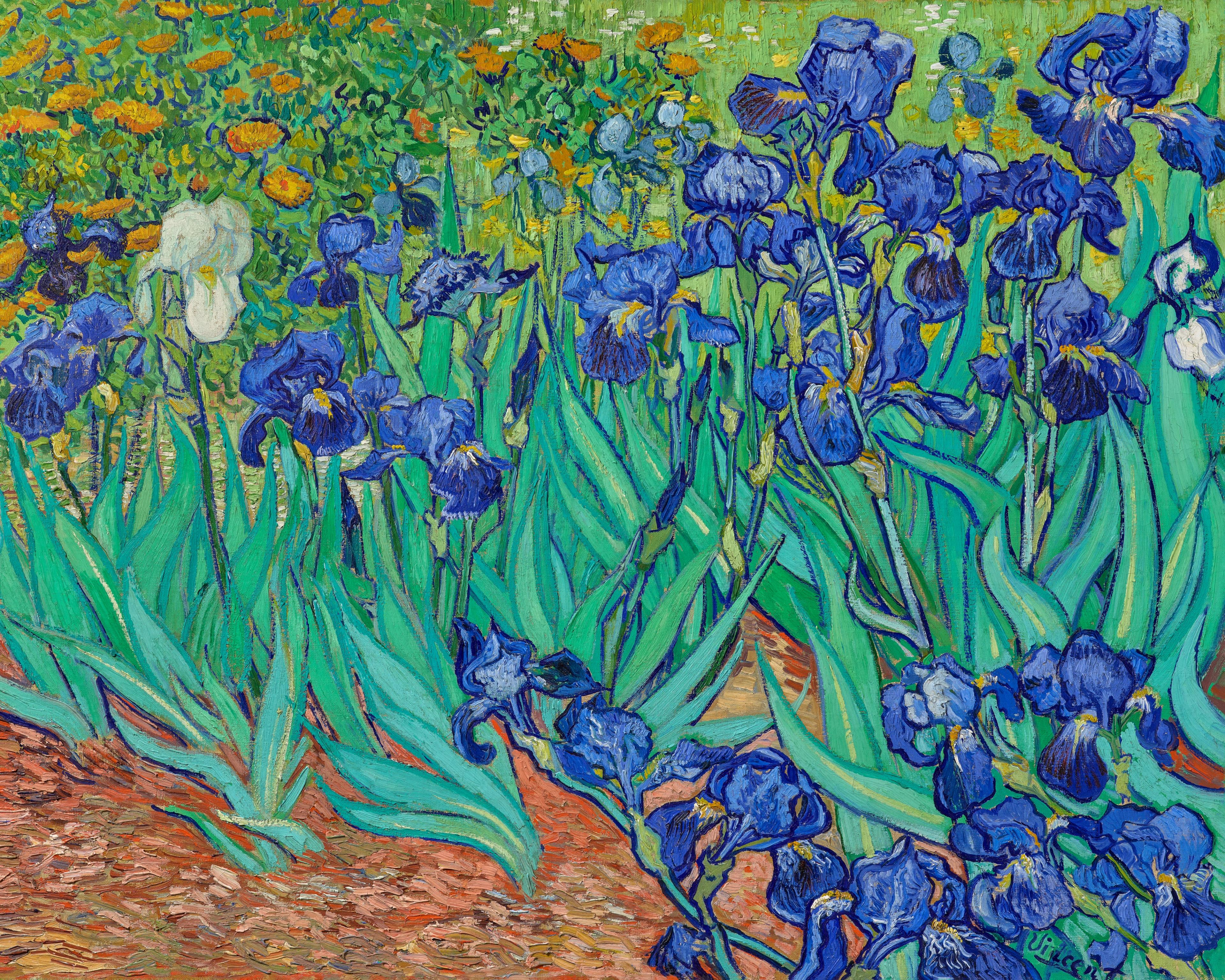 Irises Watch with Leather Band