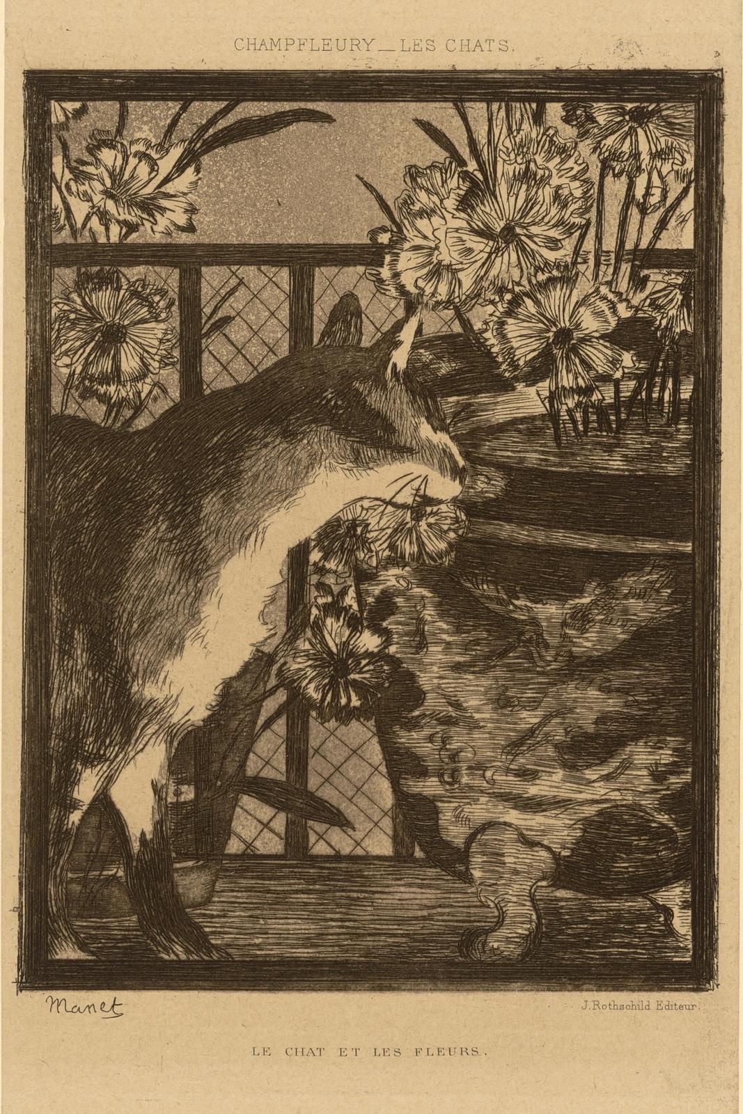 Le chat et les fleurs, 1869 by edouard manet