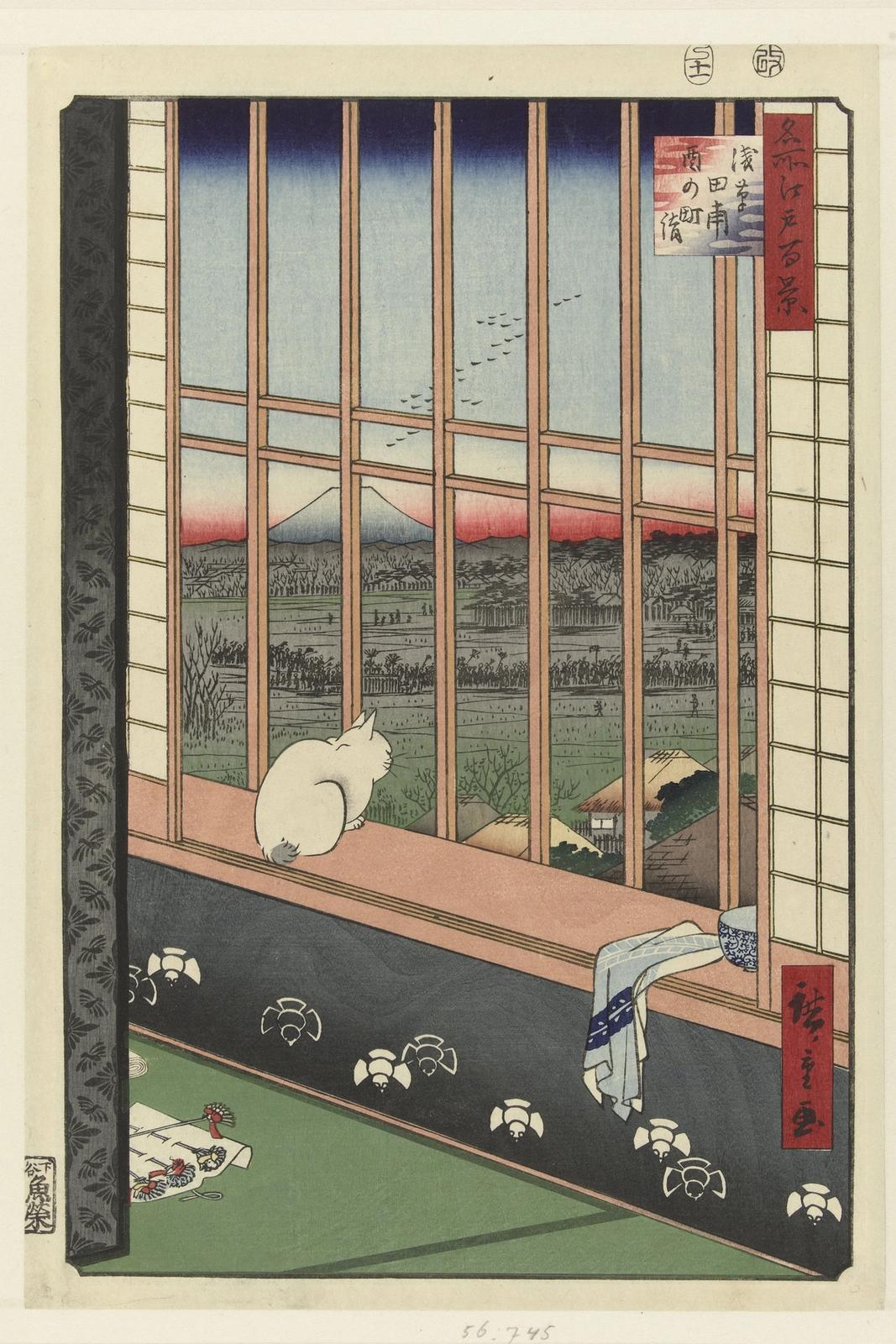 Window Cat