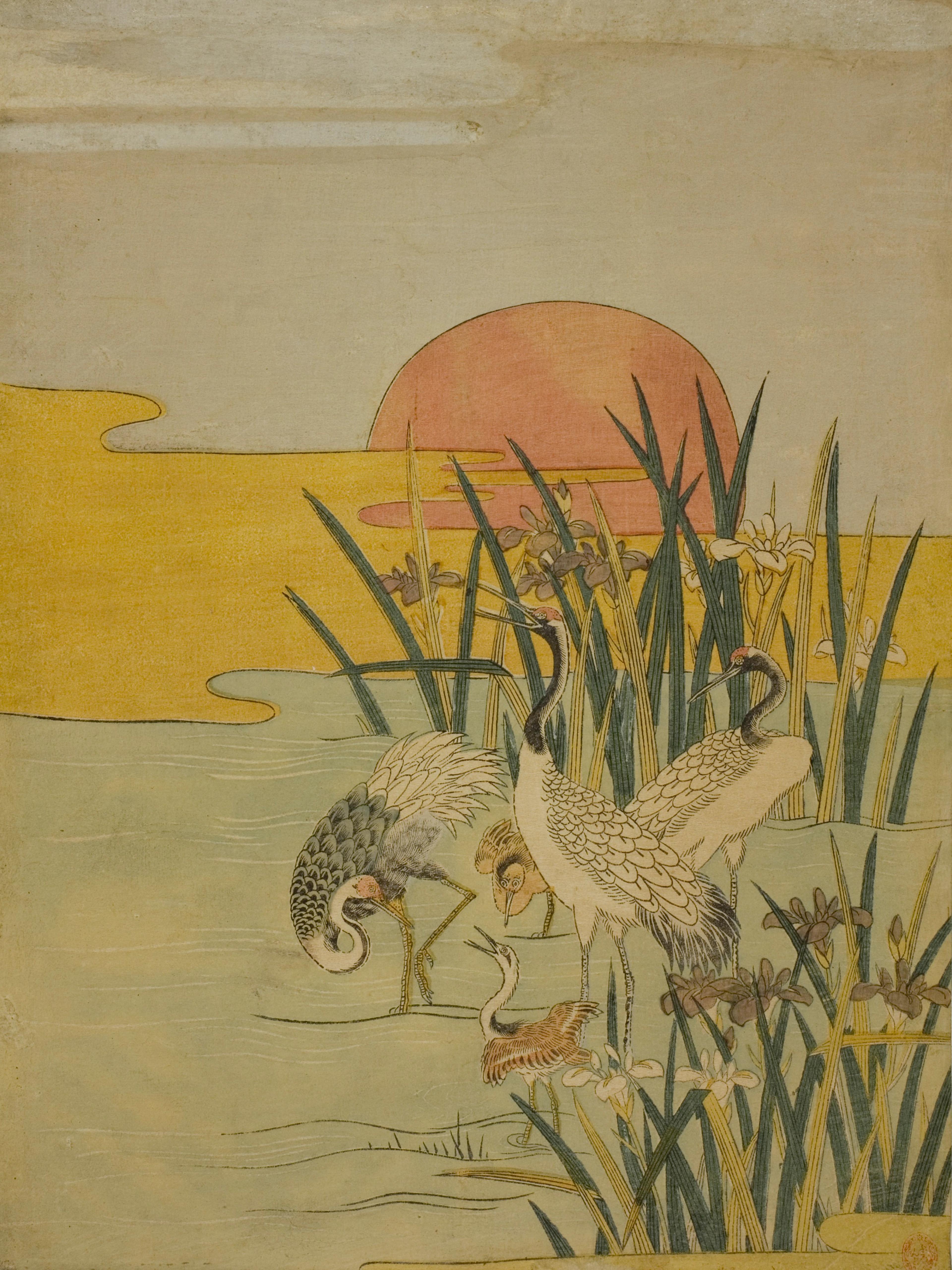 Cranes in an Iris Pond at Sunrise