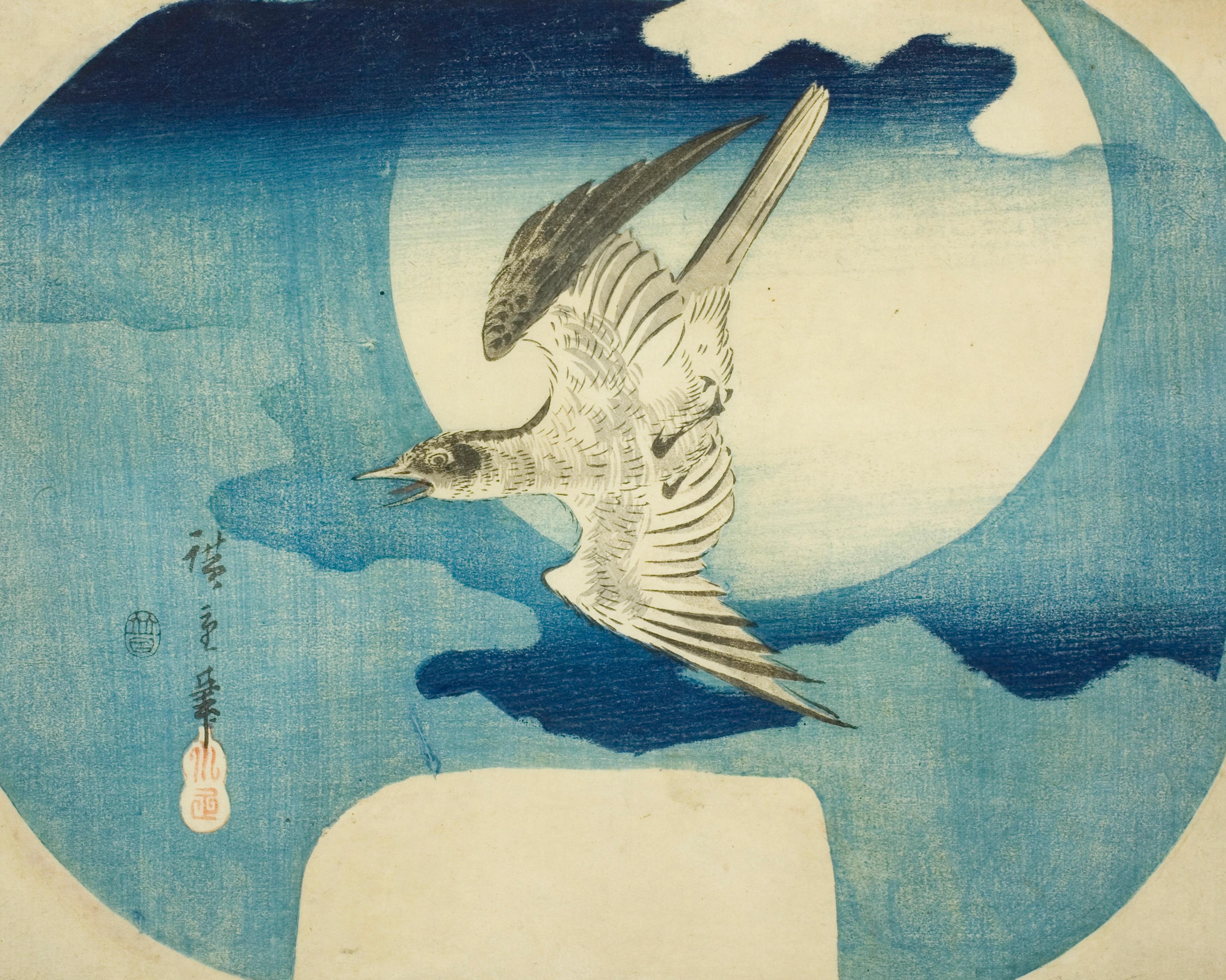 A Cuckoo Against the Moon