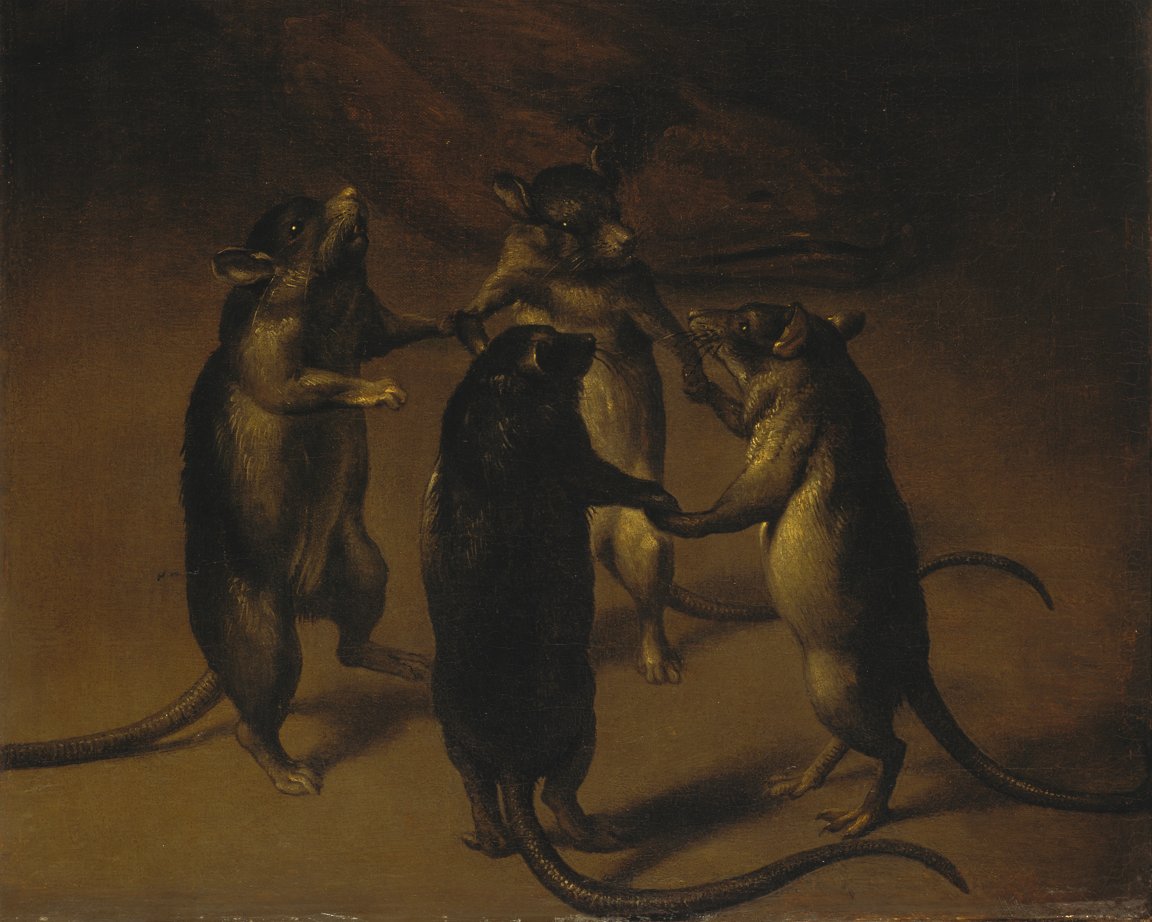 The Dance of the Rats