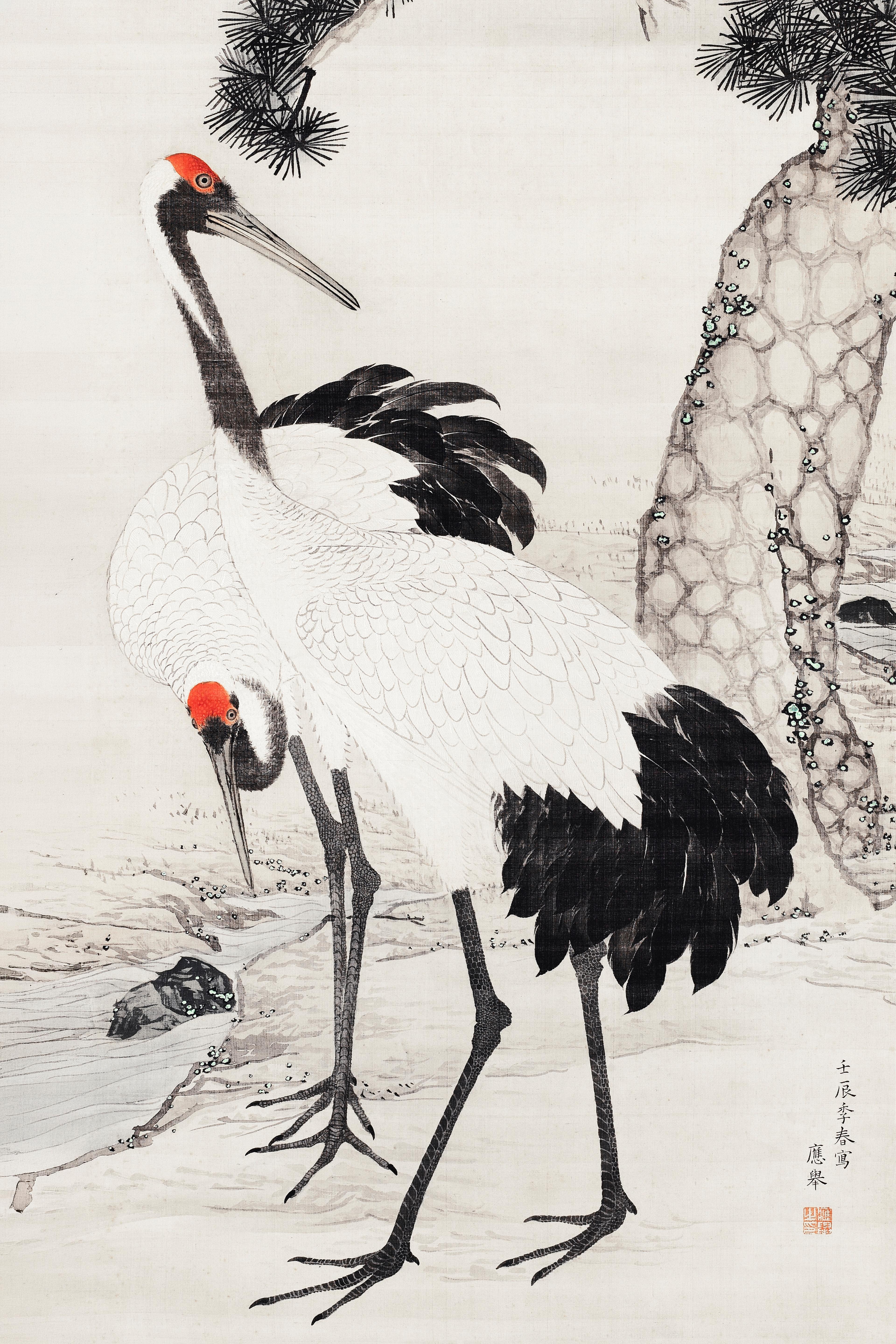 Cranes and a Pine Tree