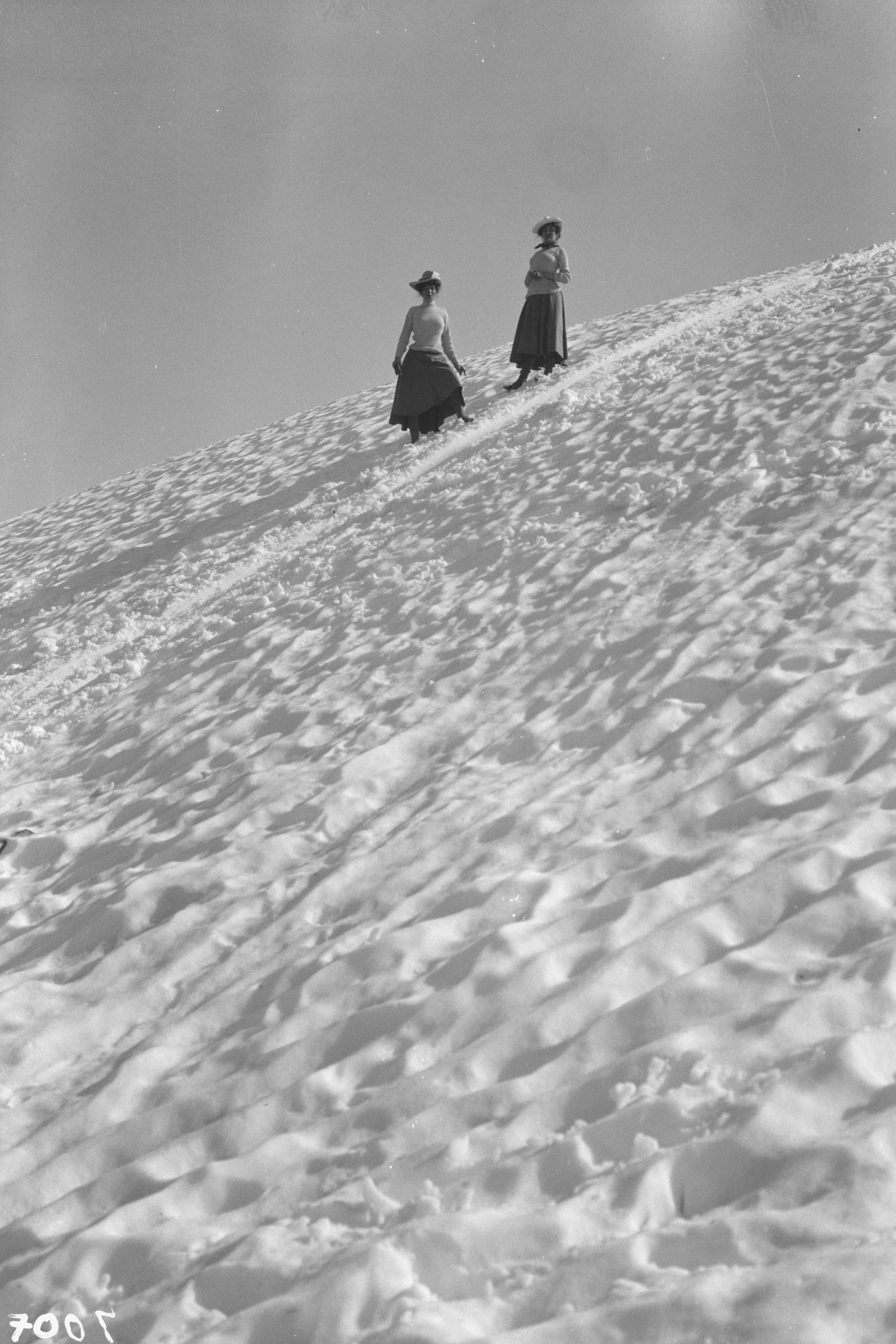 Travel Views of Yosemite National Park