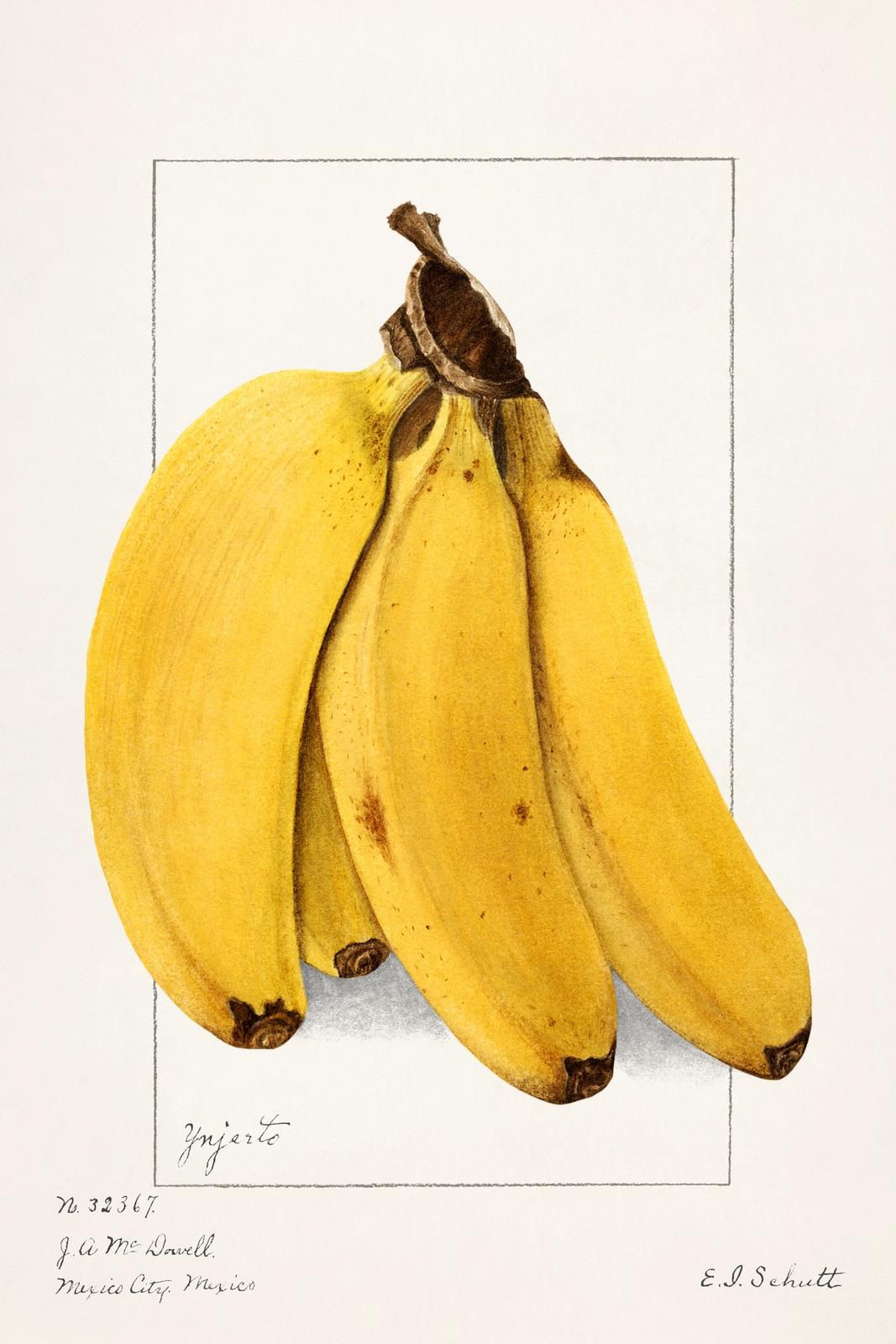 Bananas