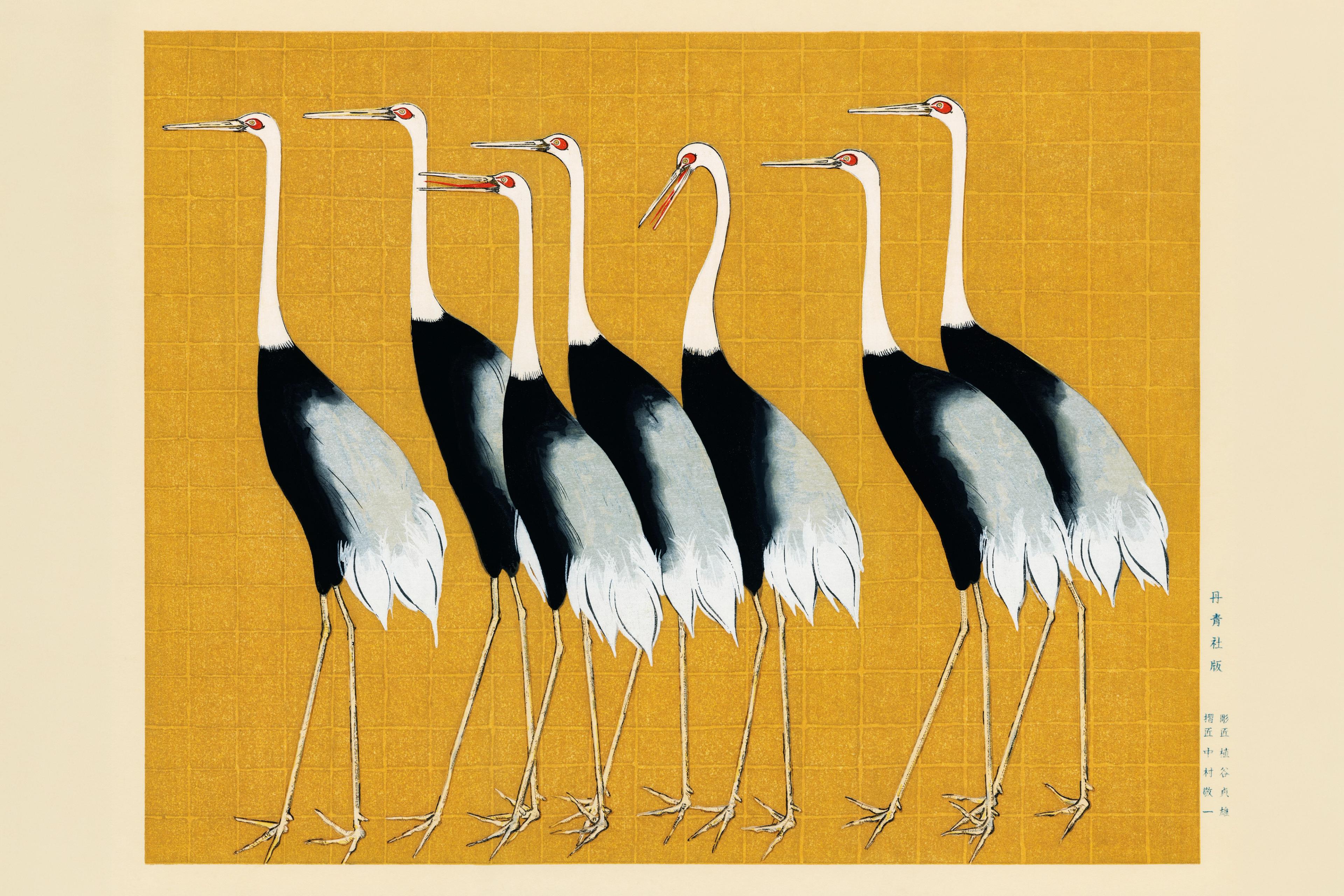 Red-Crowned Cranes