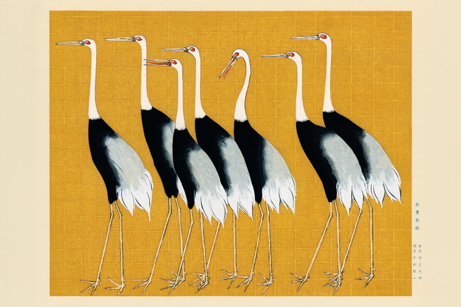 Flat traditional Japanese illustration of a group of red-crowned cranes standing together