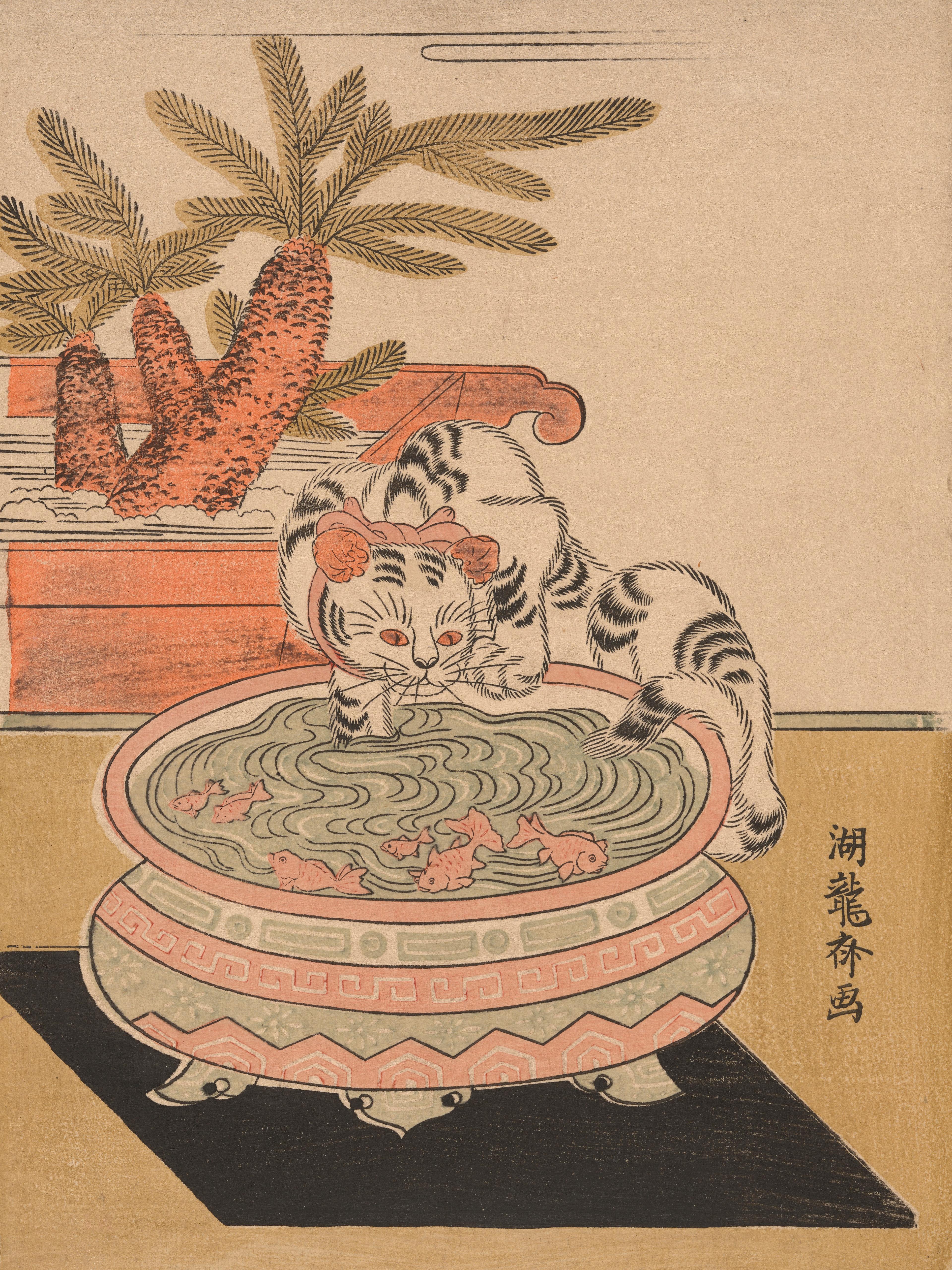Cat Pawing at Goldfish