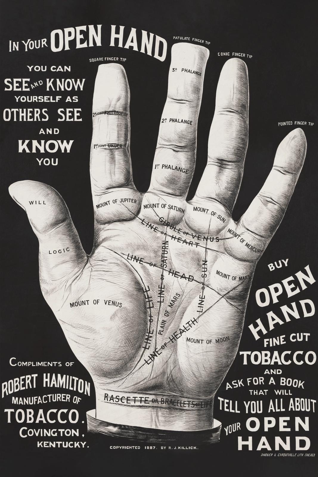 Open Hand
