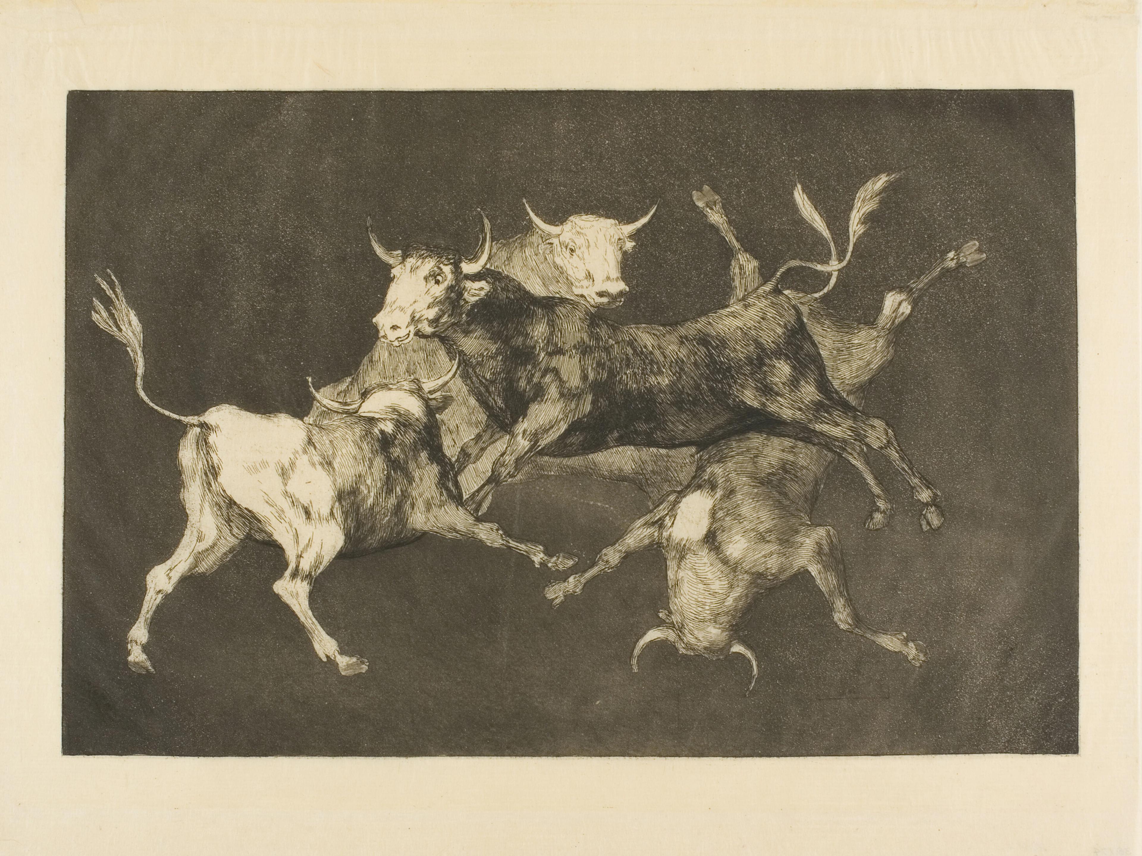 Fool's Folly, from Disparates