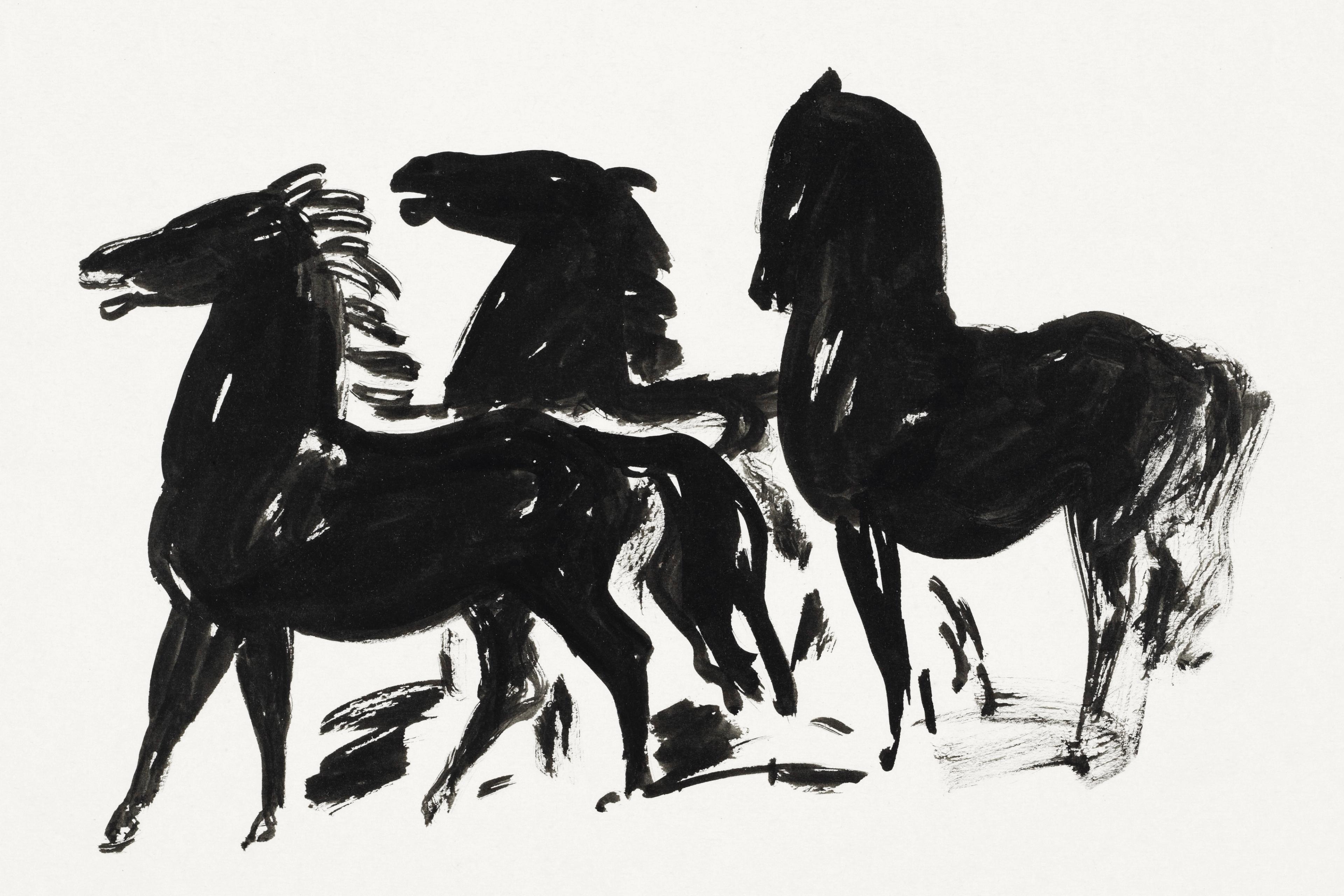 Drie zwarte paarden staand naar links kijkend