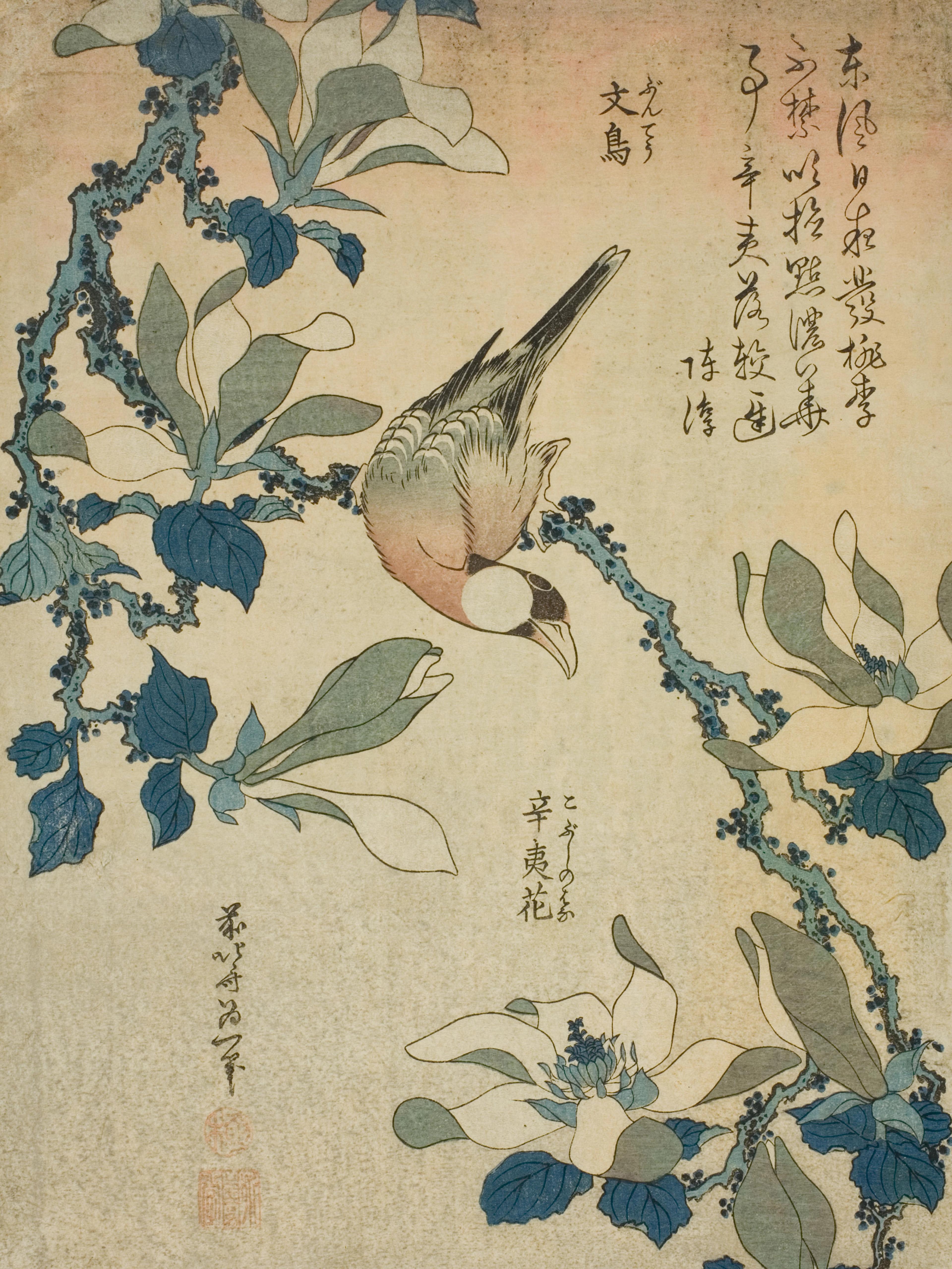 Paddy Bird and Magnolia Flowers