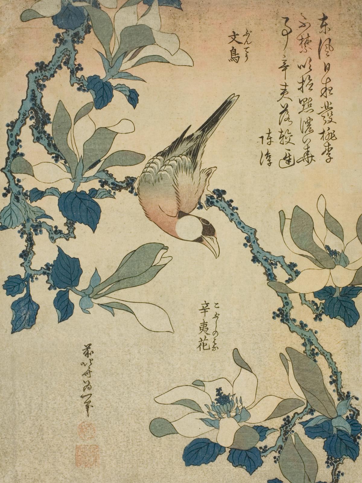 Paddy Bird and Magnolia Flowers by Katsushika Hokusai