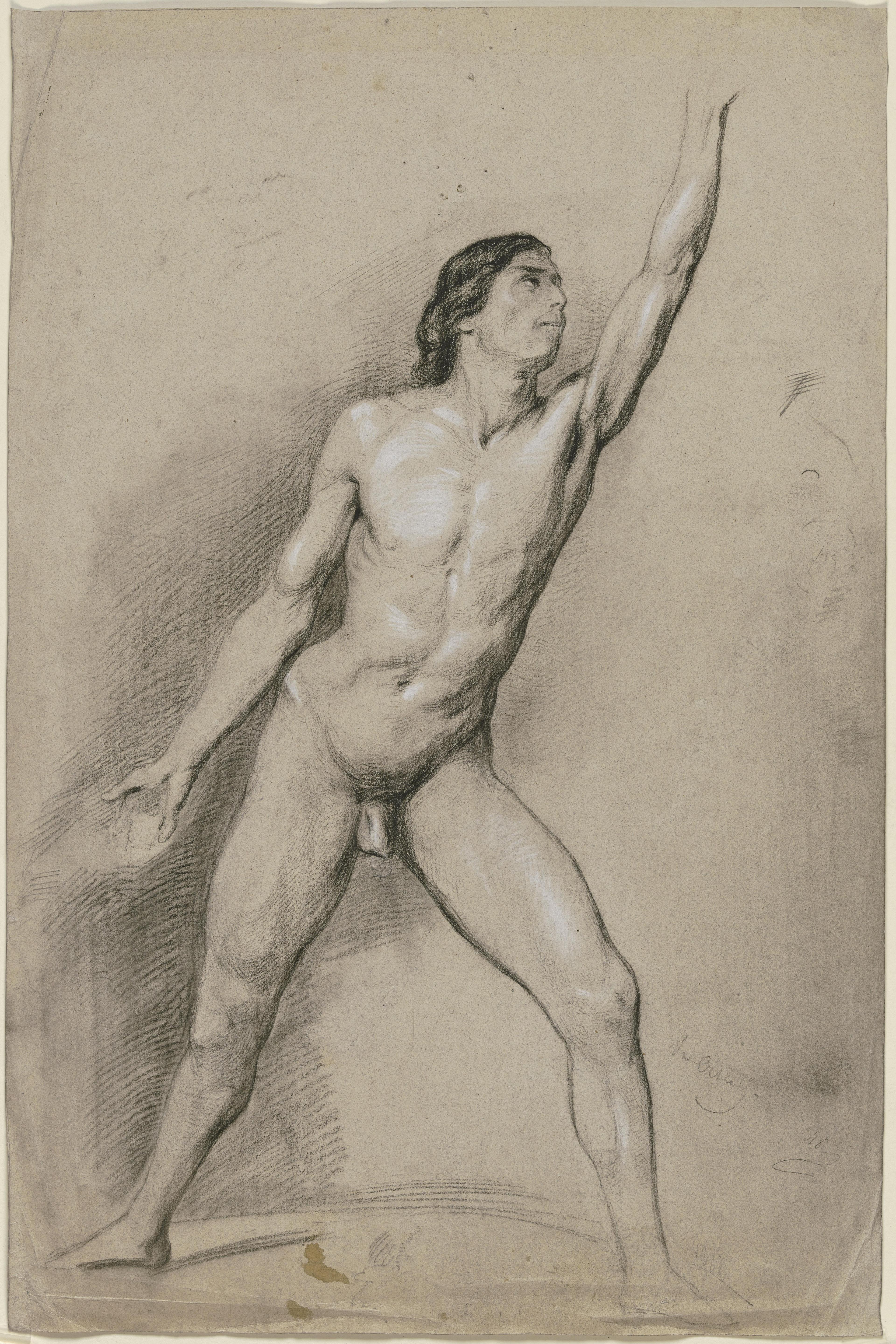 Stehender Mannlicher Akt