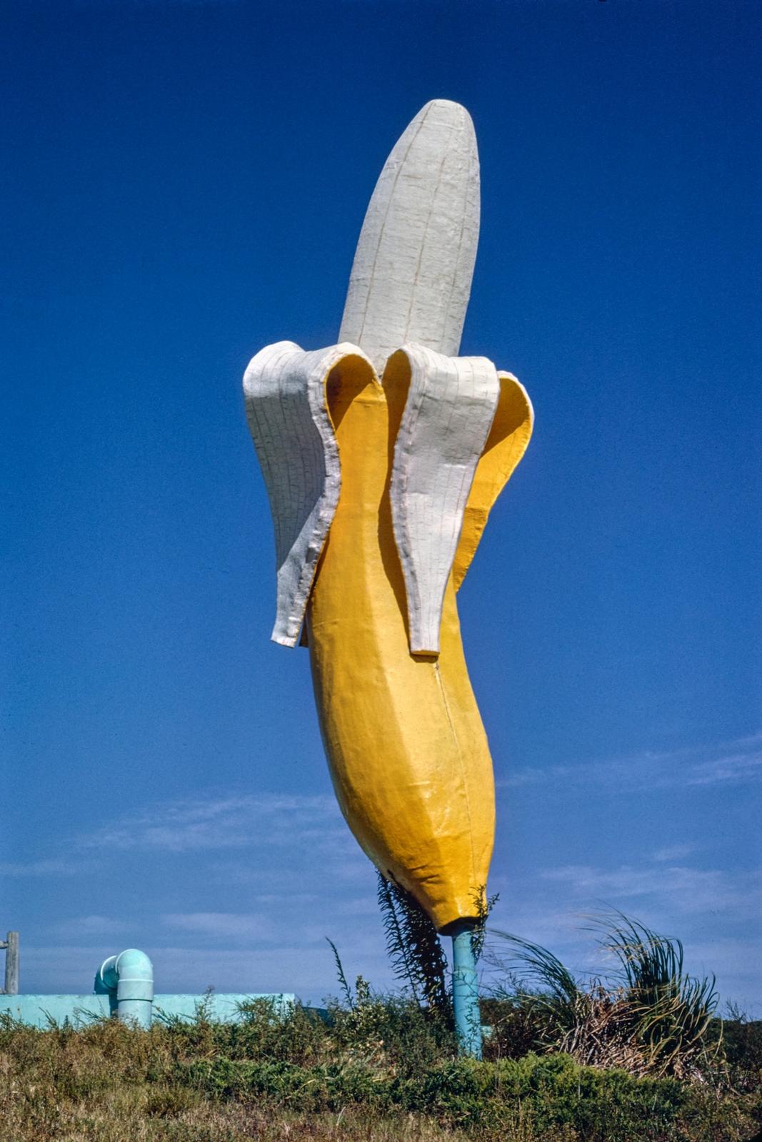 Banana Water Slide banana statue, vertical, Virginia Beach, Virginia (1985) photography in high resolution by John Margolies. Original from the Library of Congress.