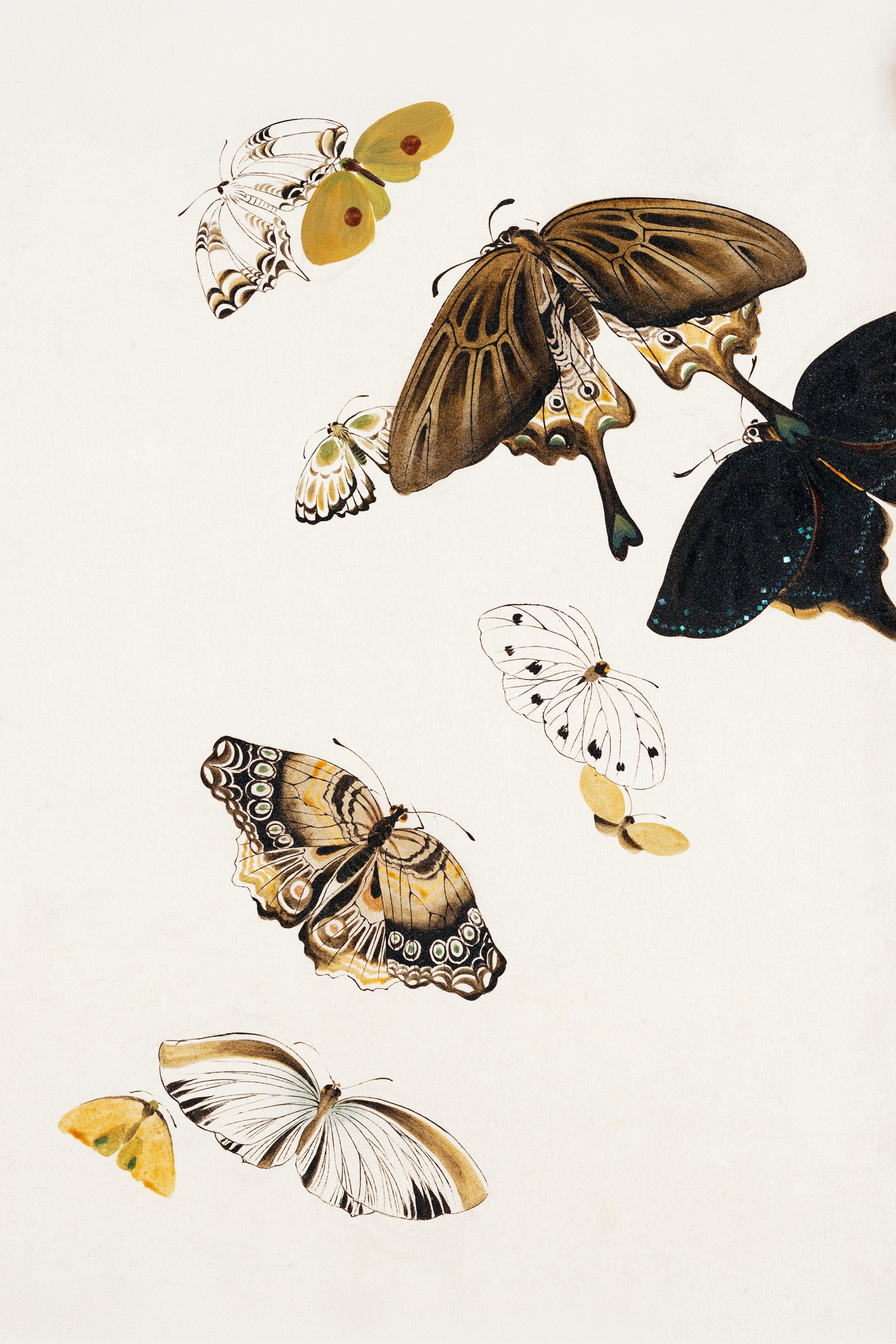 Lacquer Paintings of Various Subjects: Butterflies