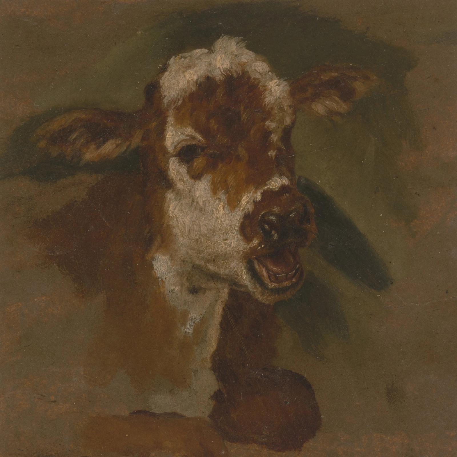 Cattle head, null by adriaen van de velde