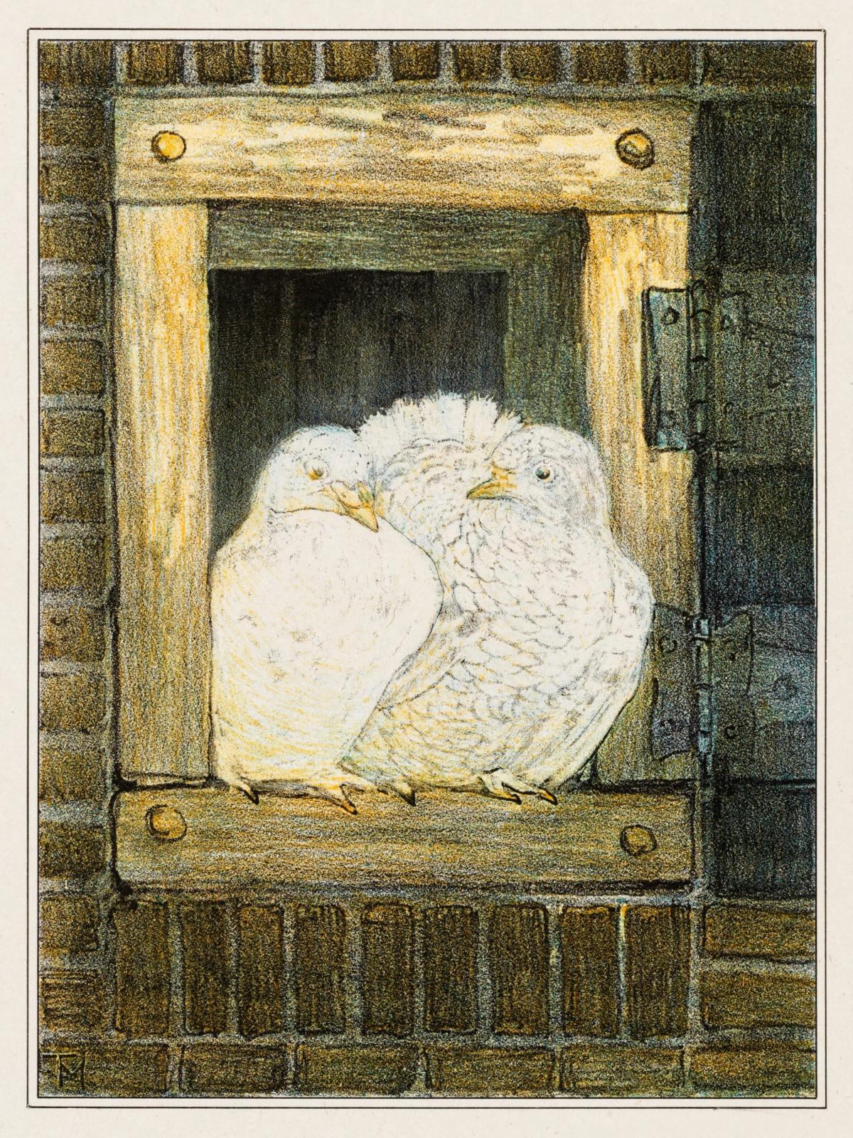 Witte duiven in venster (1878–1910) print in high resolution by Theo van Hoytema. Original from The Rijksmuseum.
