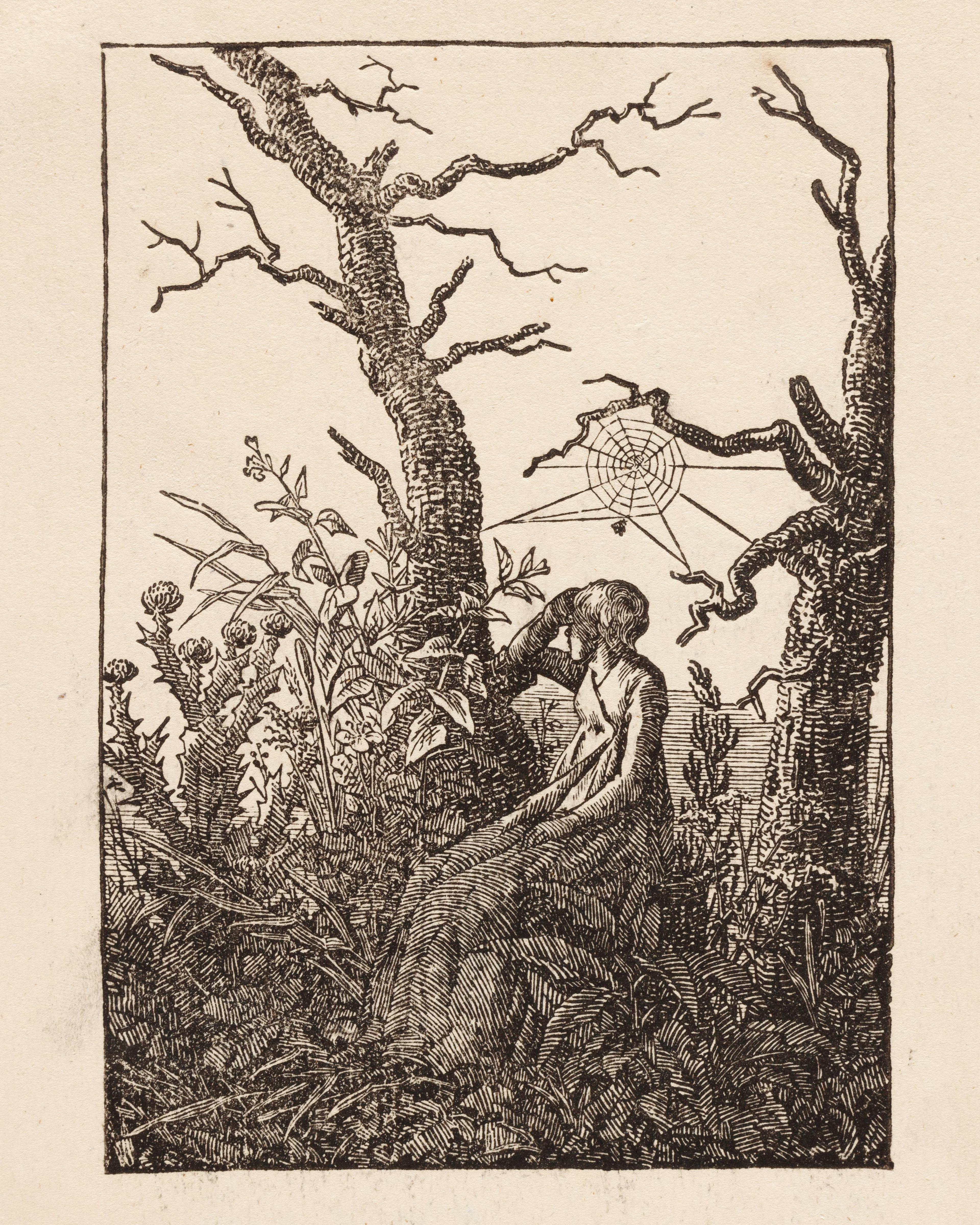 Woman With a Spiderweb Between Bare Trees