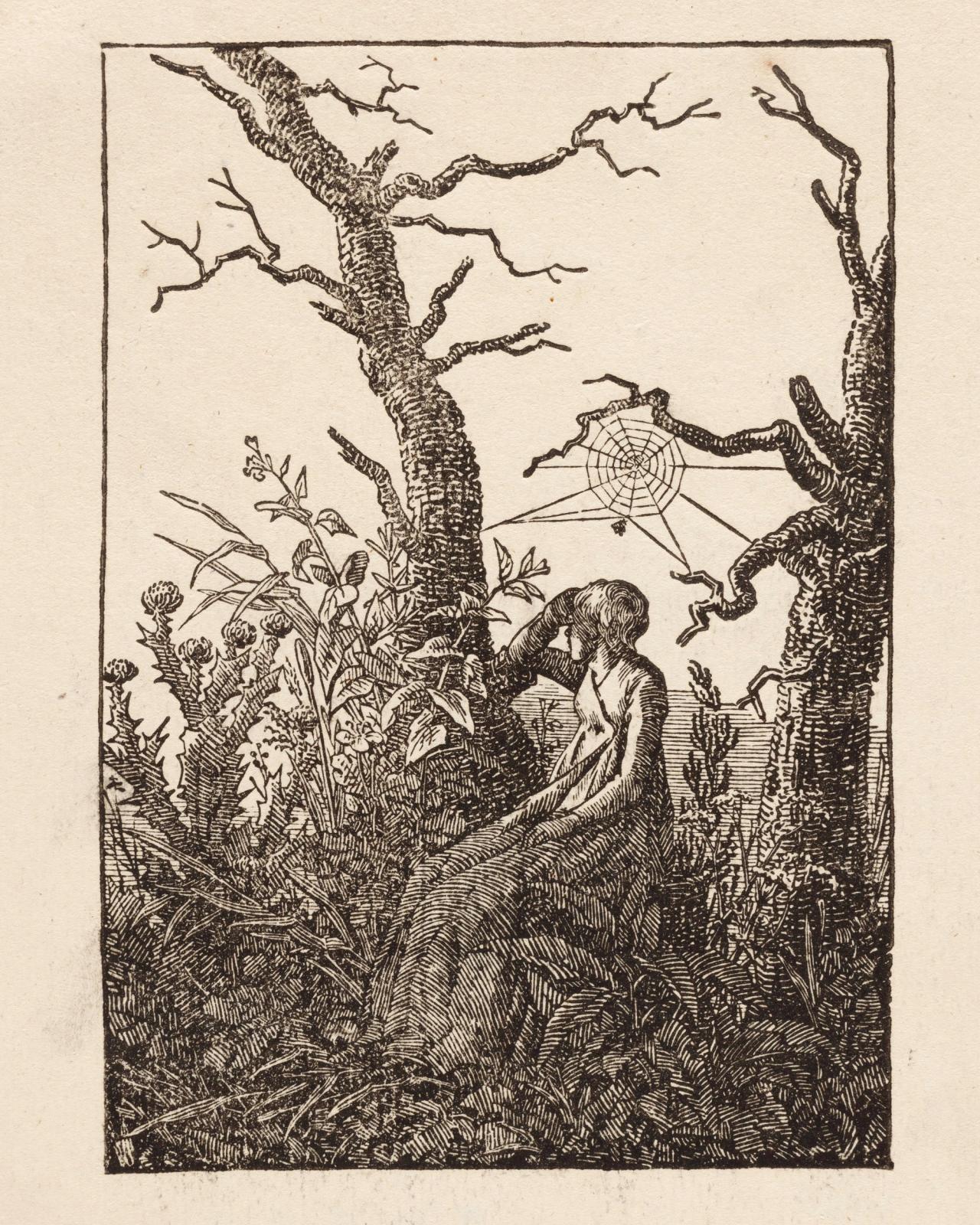 Woman with a Spiderweb between bare Trees, 1802 by caspar david friedrich
