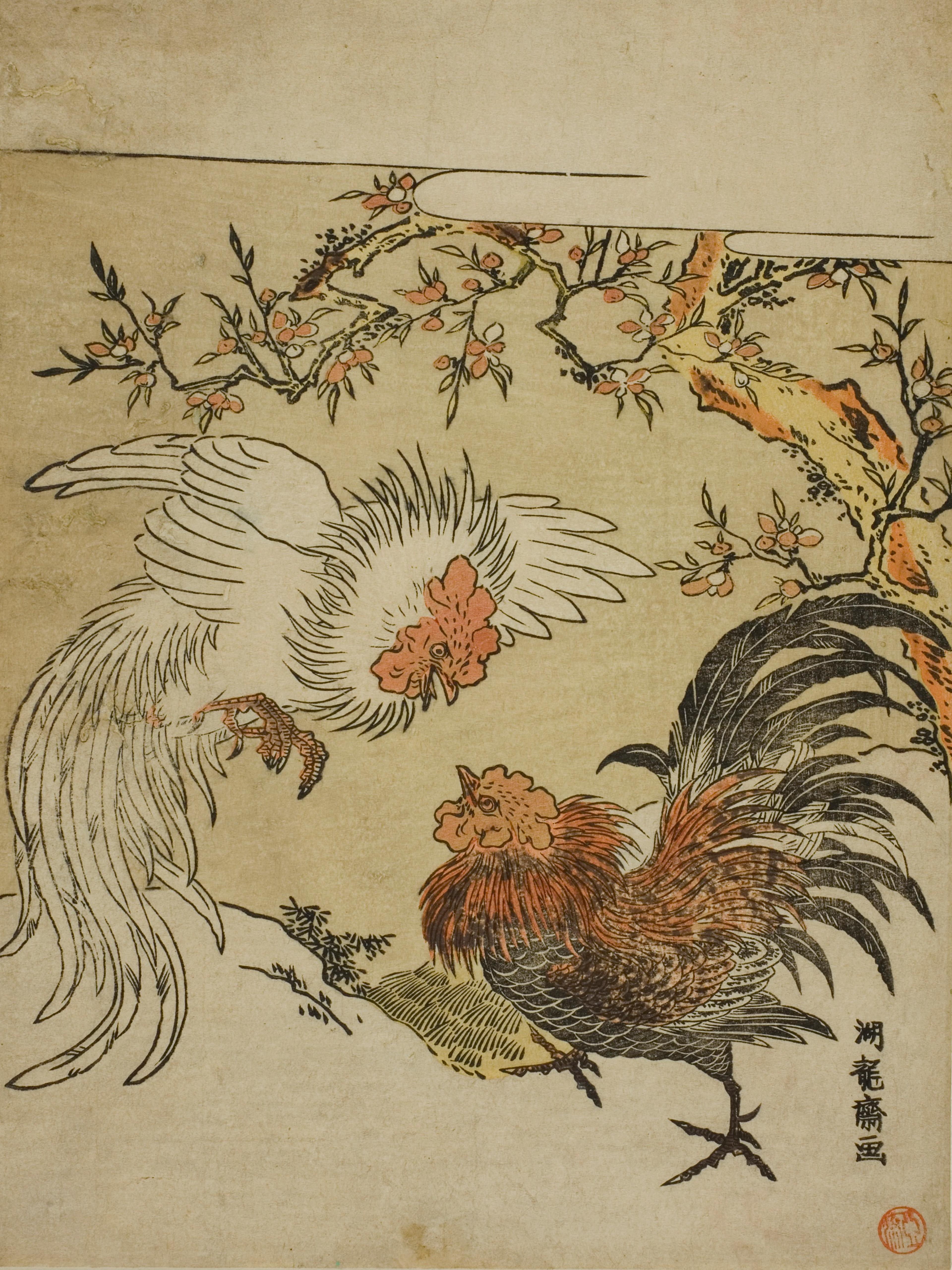 Cocks Fighting Under a Tree