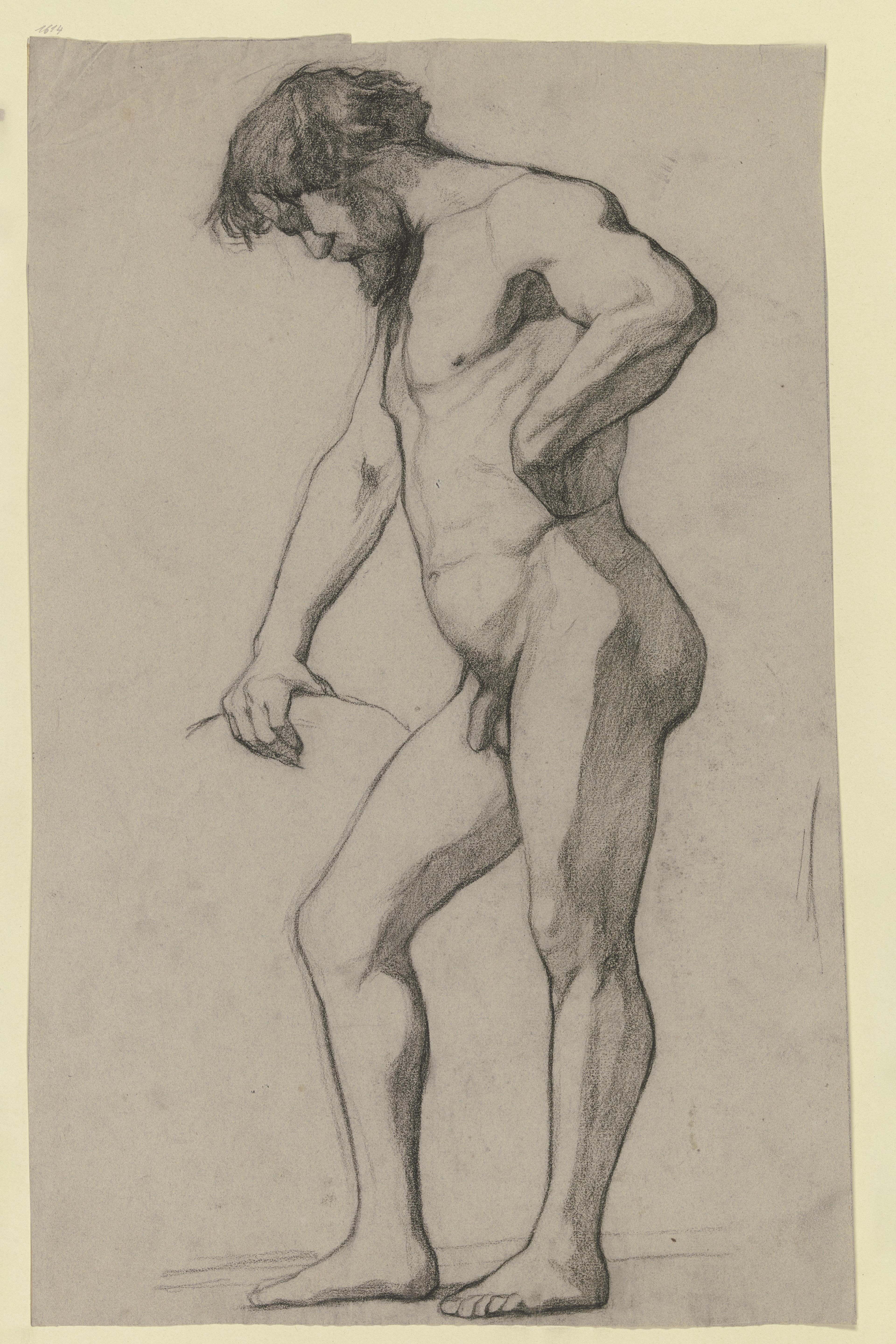 Stehender Mannlicher Akt Nach Links