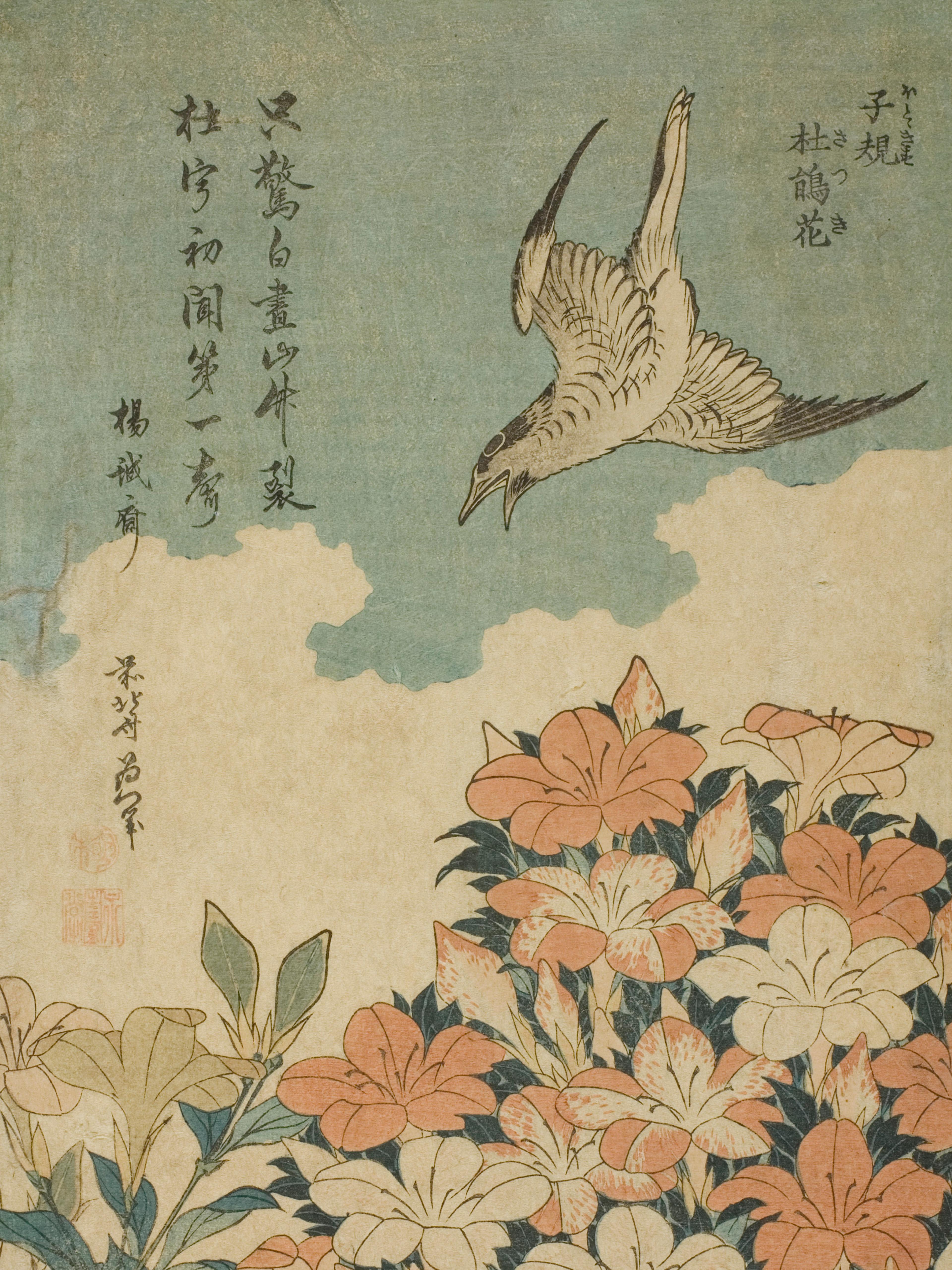 Cuckoo and Azaleas