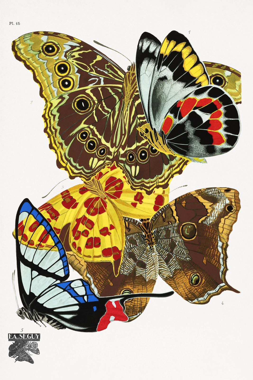 Vintage Butterflies
