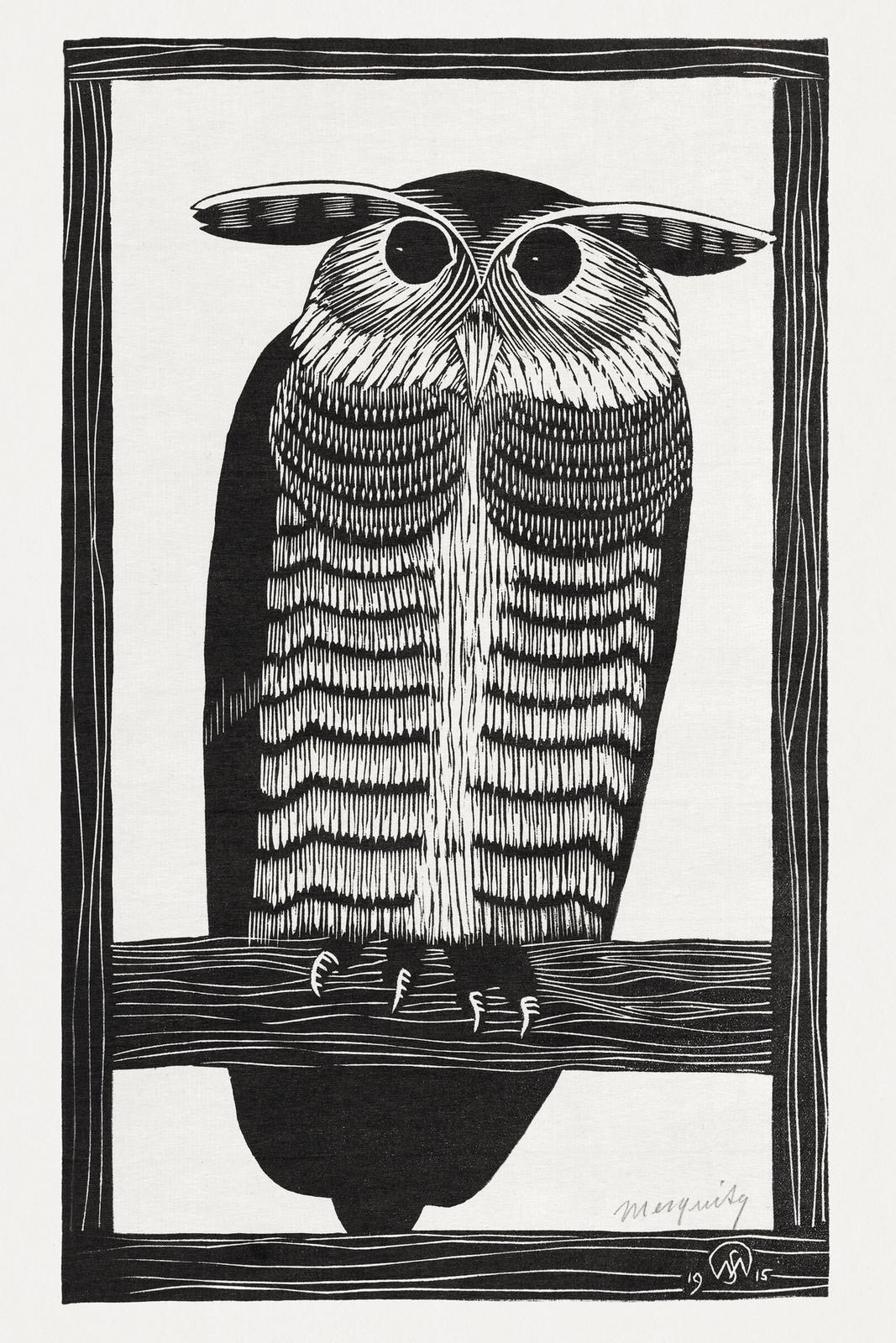 Horned Owl