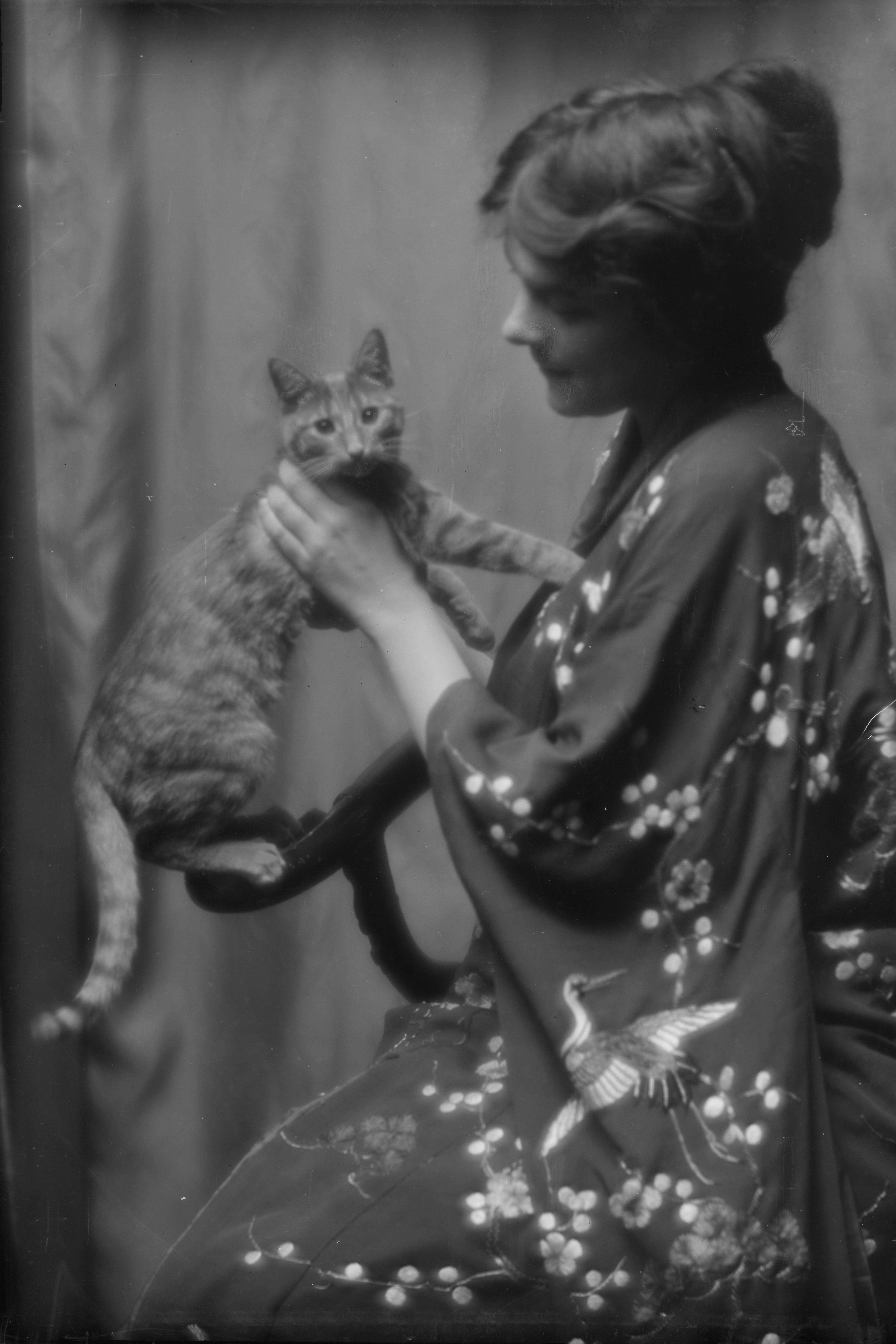 Warren, Gertrude, Jackman, and Buzzer the Cat