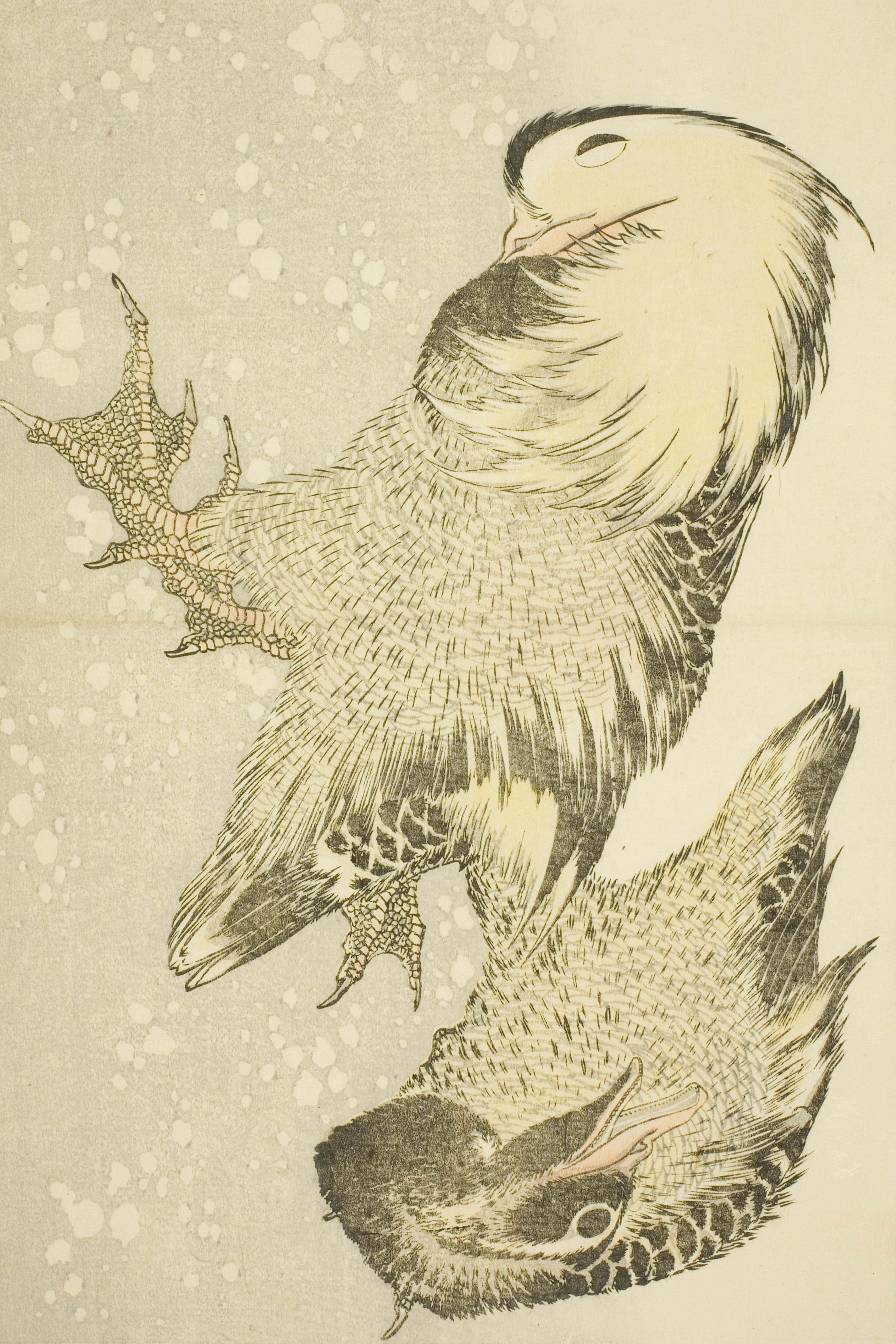 Two Waterfowl