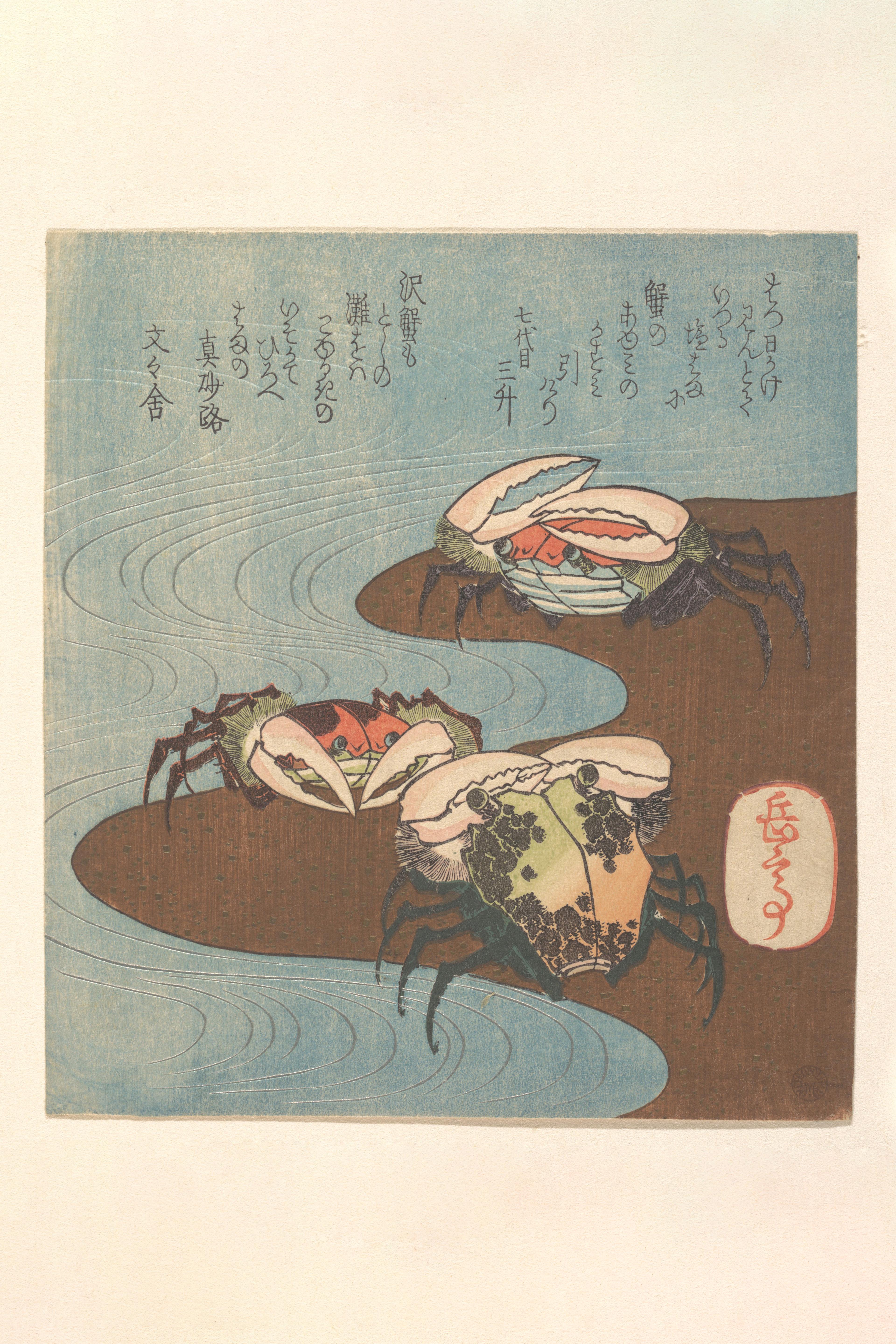 Crabs Near the Water's Edge