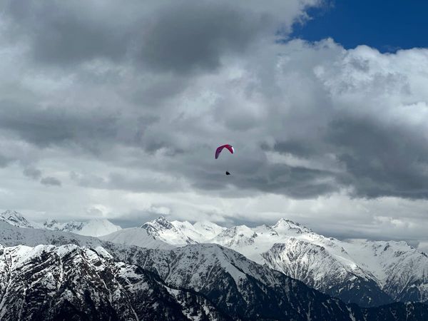 Pink wing soaring over the snow-capped Himalayan range