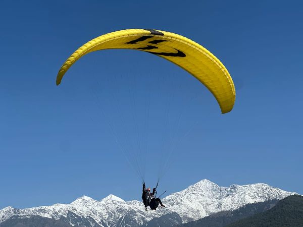 Tandem flight under yellow canopy with snow-capped Dhauladhar peaks