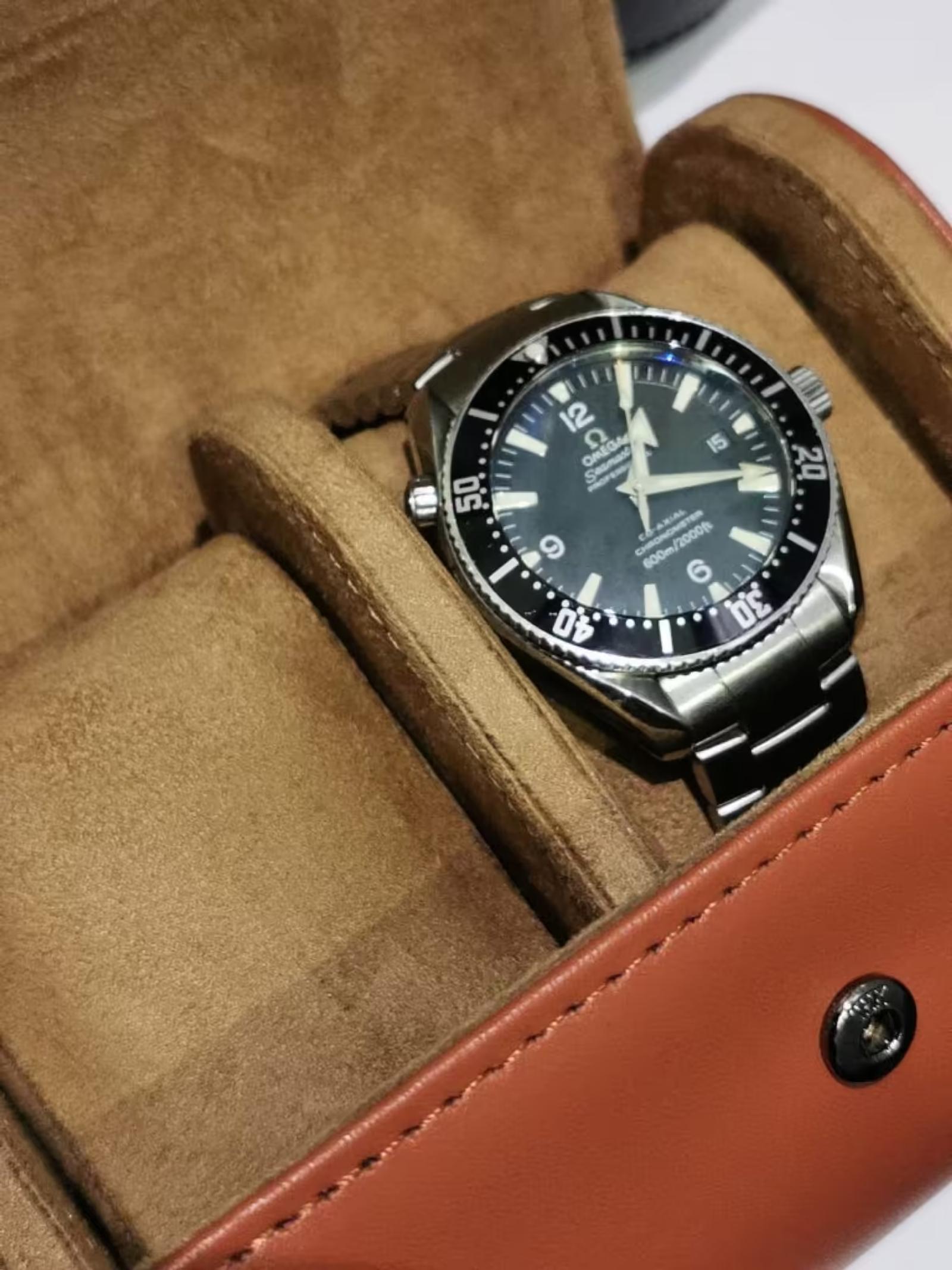 Watch Travel Case, photo 2 at Watch Empire Dublin