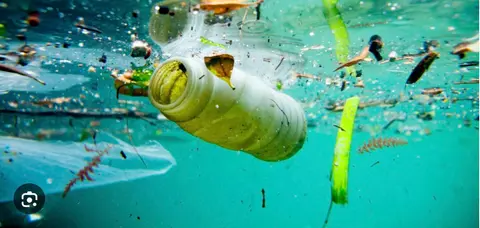 By helping clean up beaches and creeks we prevent even more trash from getting into San Diego Bay.