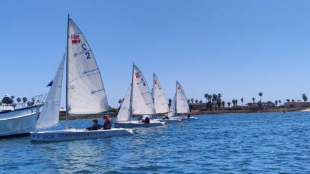 4 Martin's sailing left to right