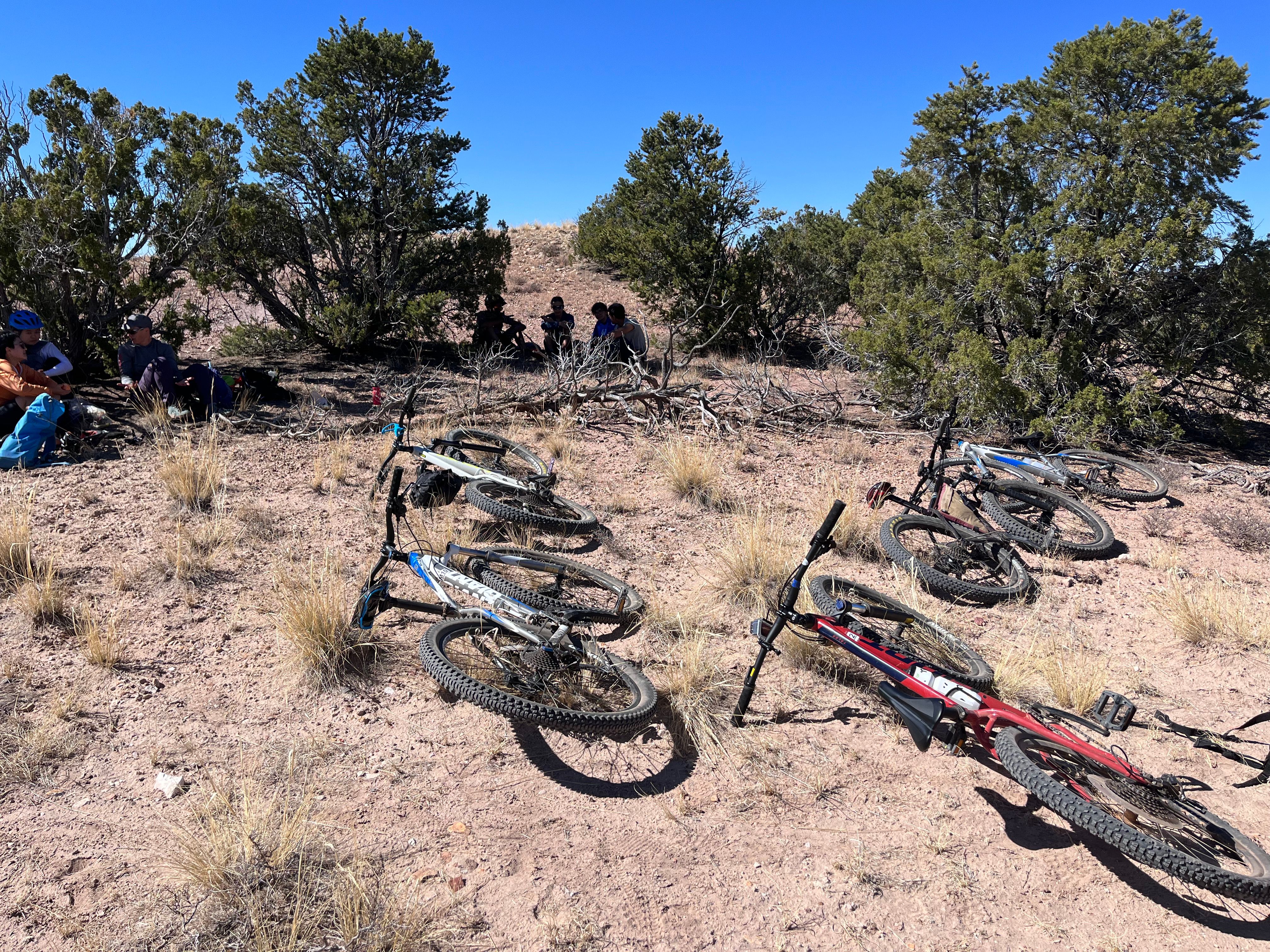 Mountain Biking