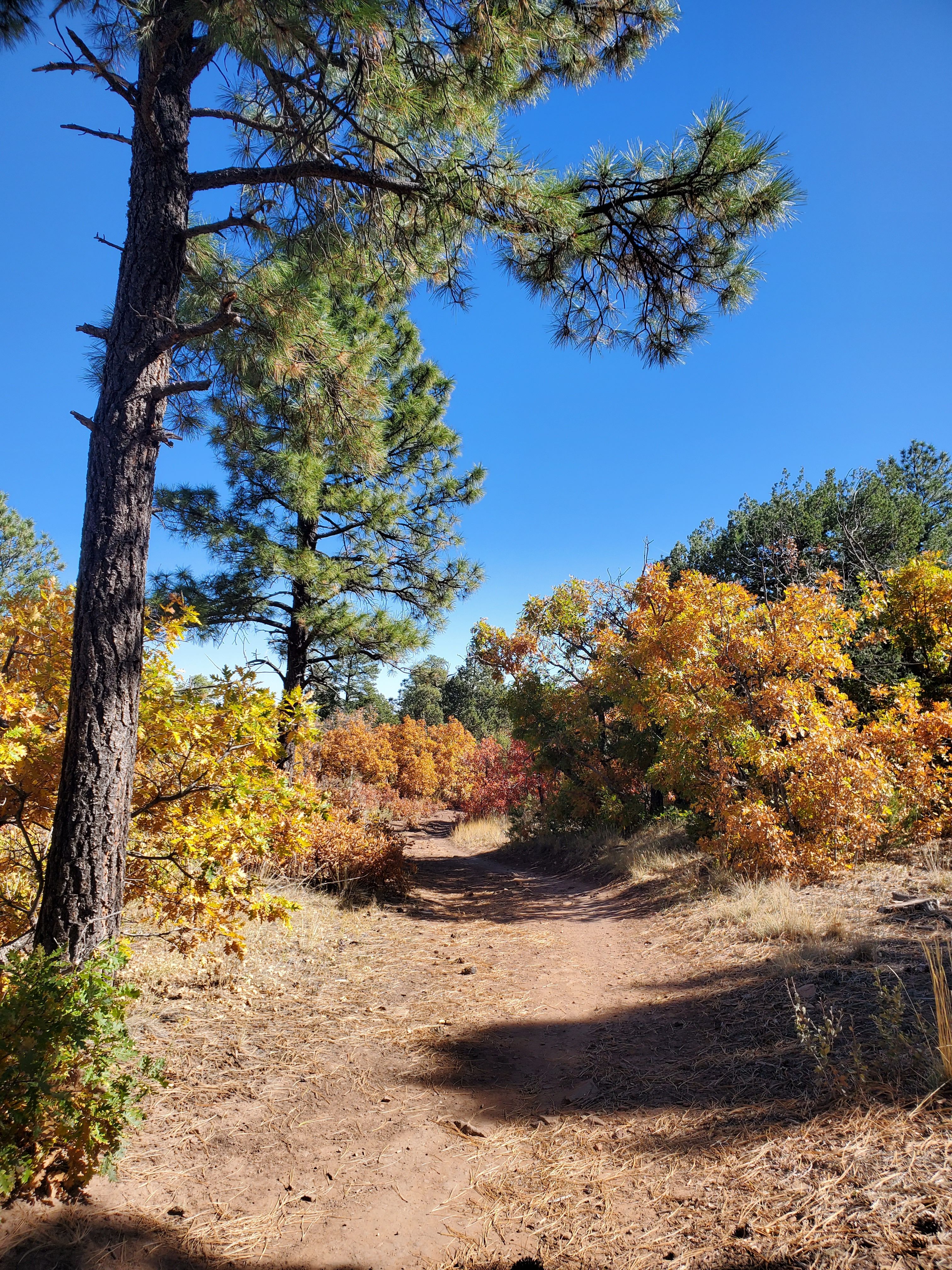 Mountain Biking